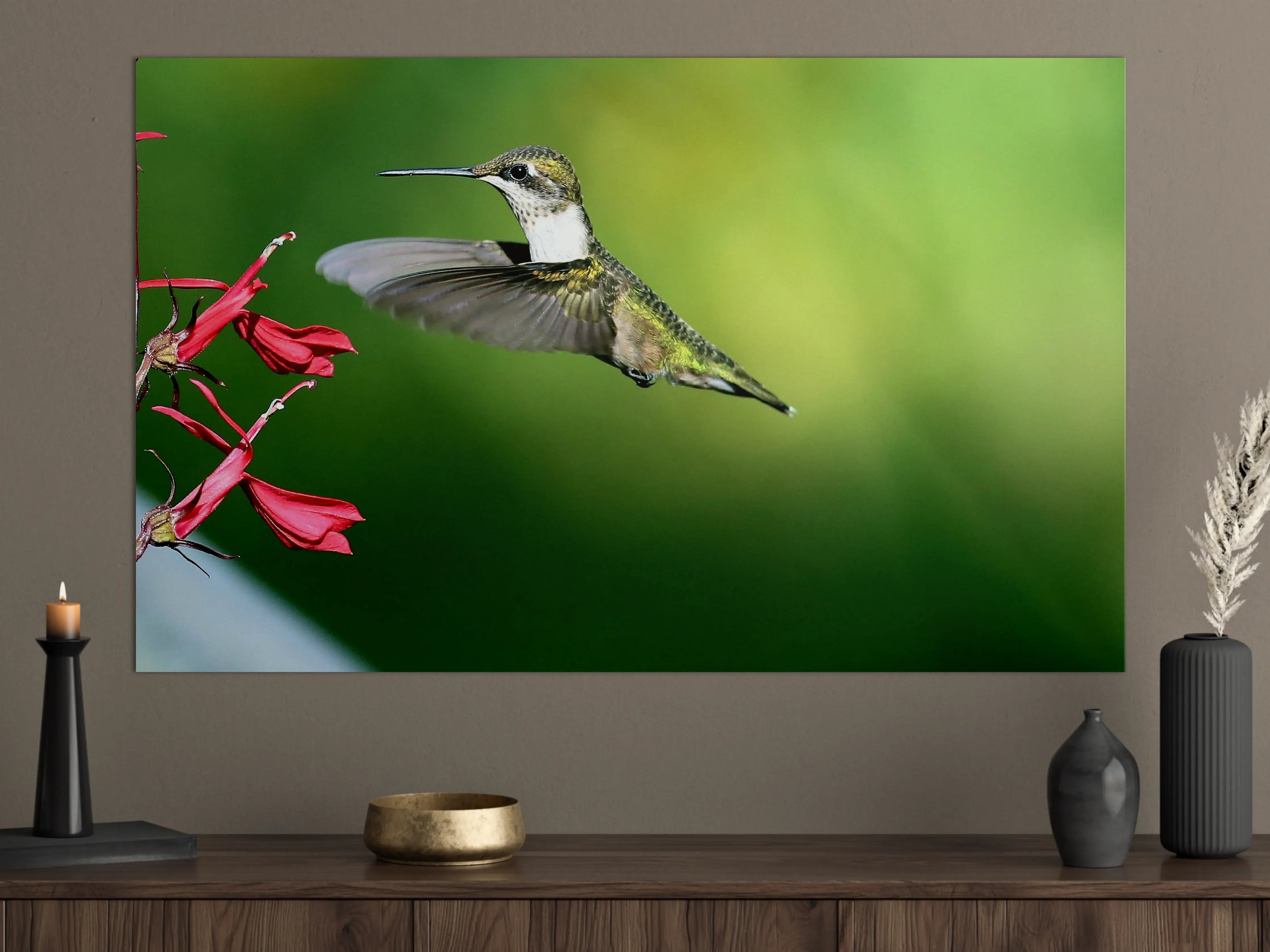 Große Wandbilder - Kolibri-Weibchen im Flug