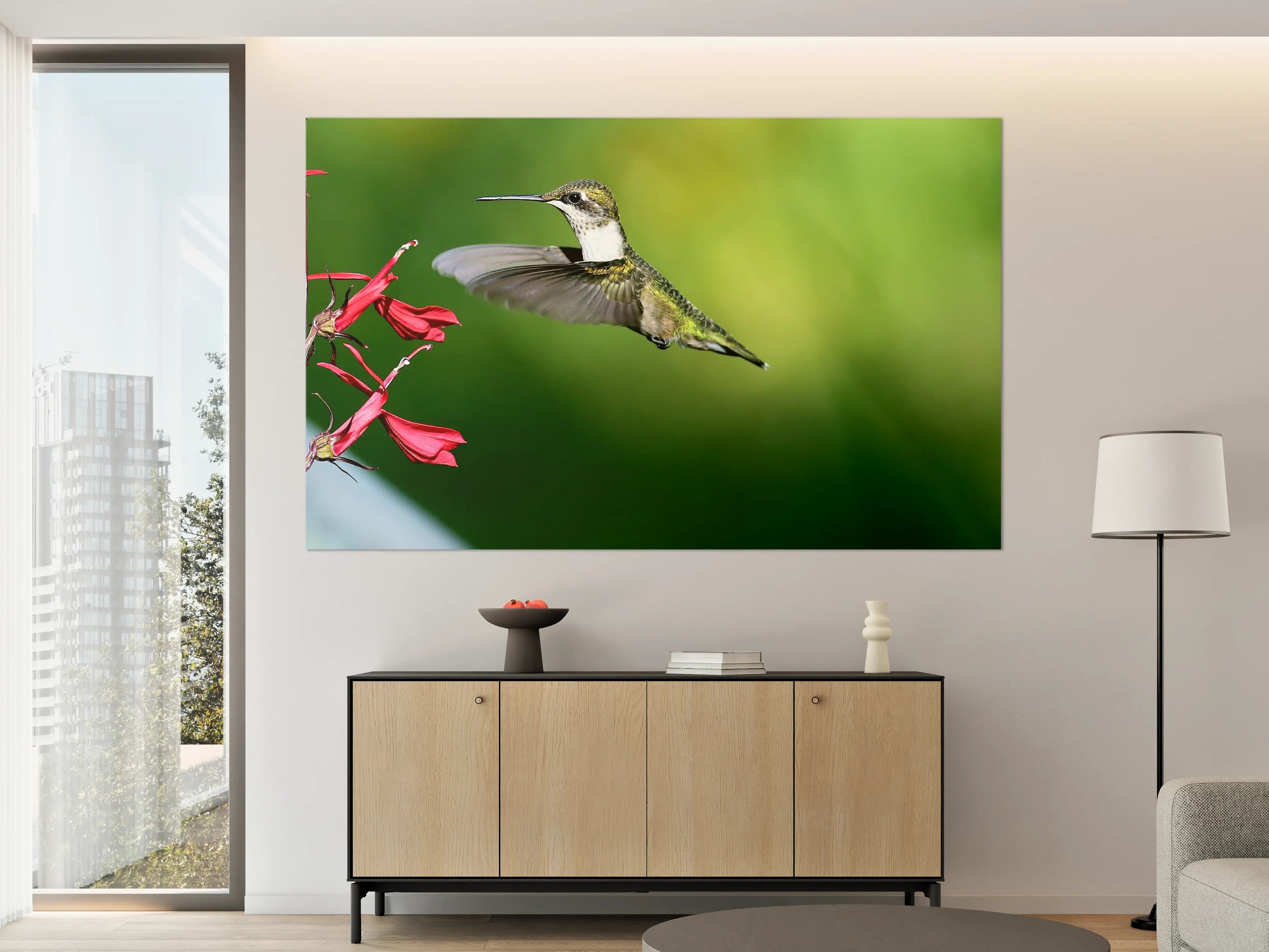 Große Wandbilder - Kolibri-Weibchen im Flug