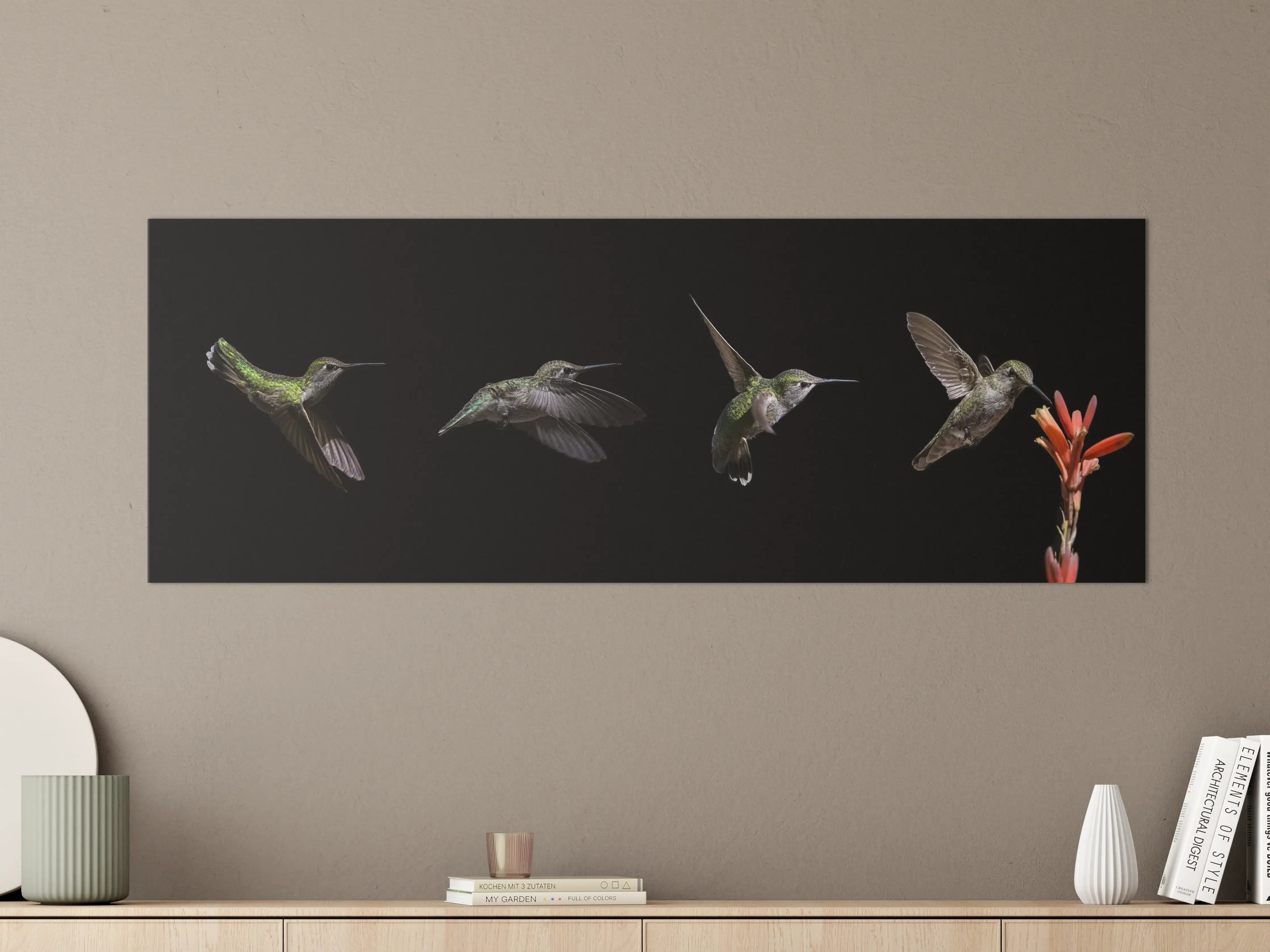 Große Wandbilder - Kolibri beim Fressen der Aloe Vera-Blüte