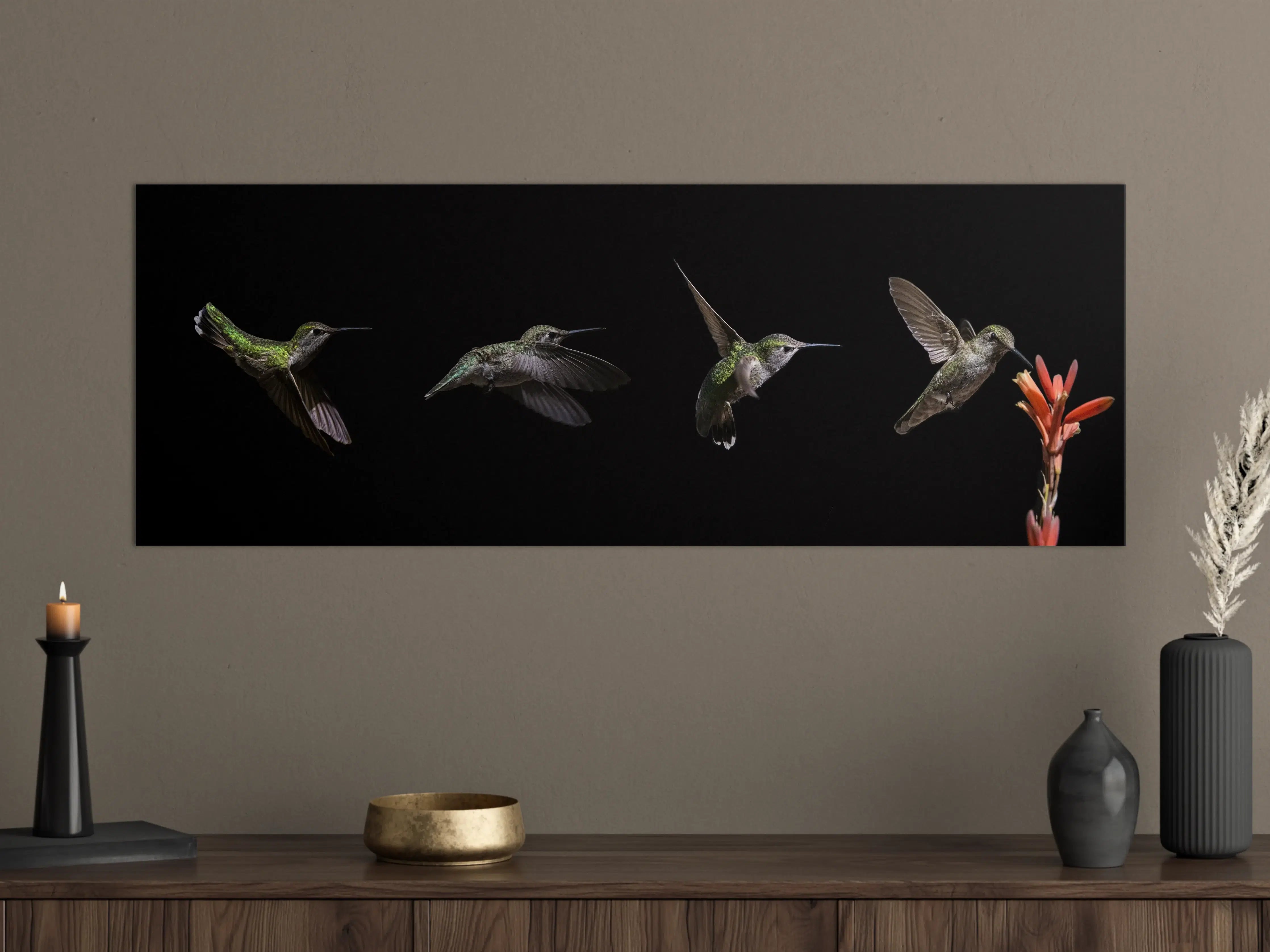 Große Wandbilder - Kolibri beim Fressen der Aloe Vera-Blüte