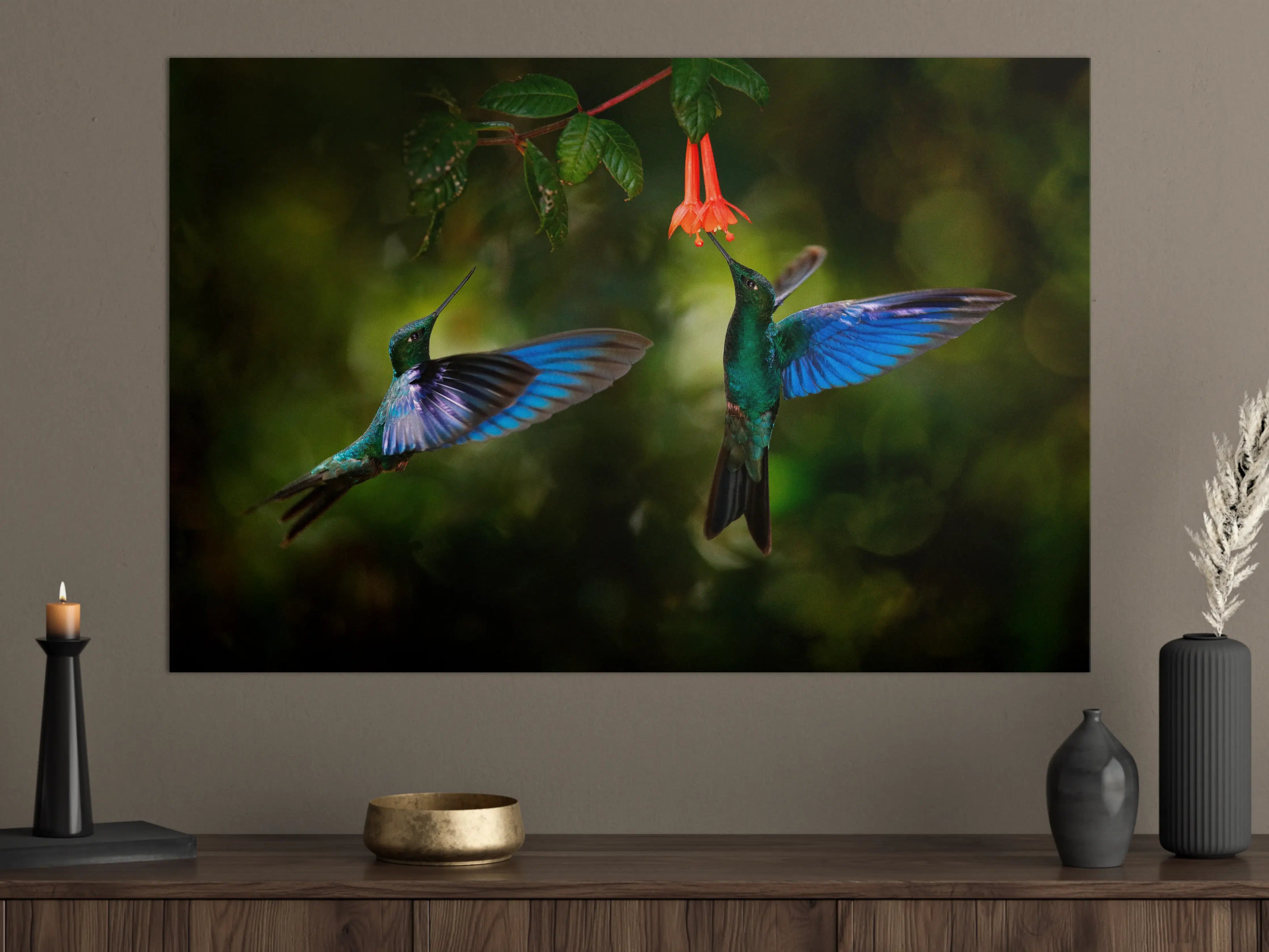 Große Wandbilder - Kolibris an der Blüte 