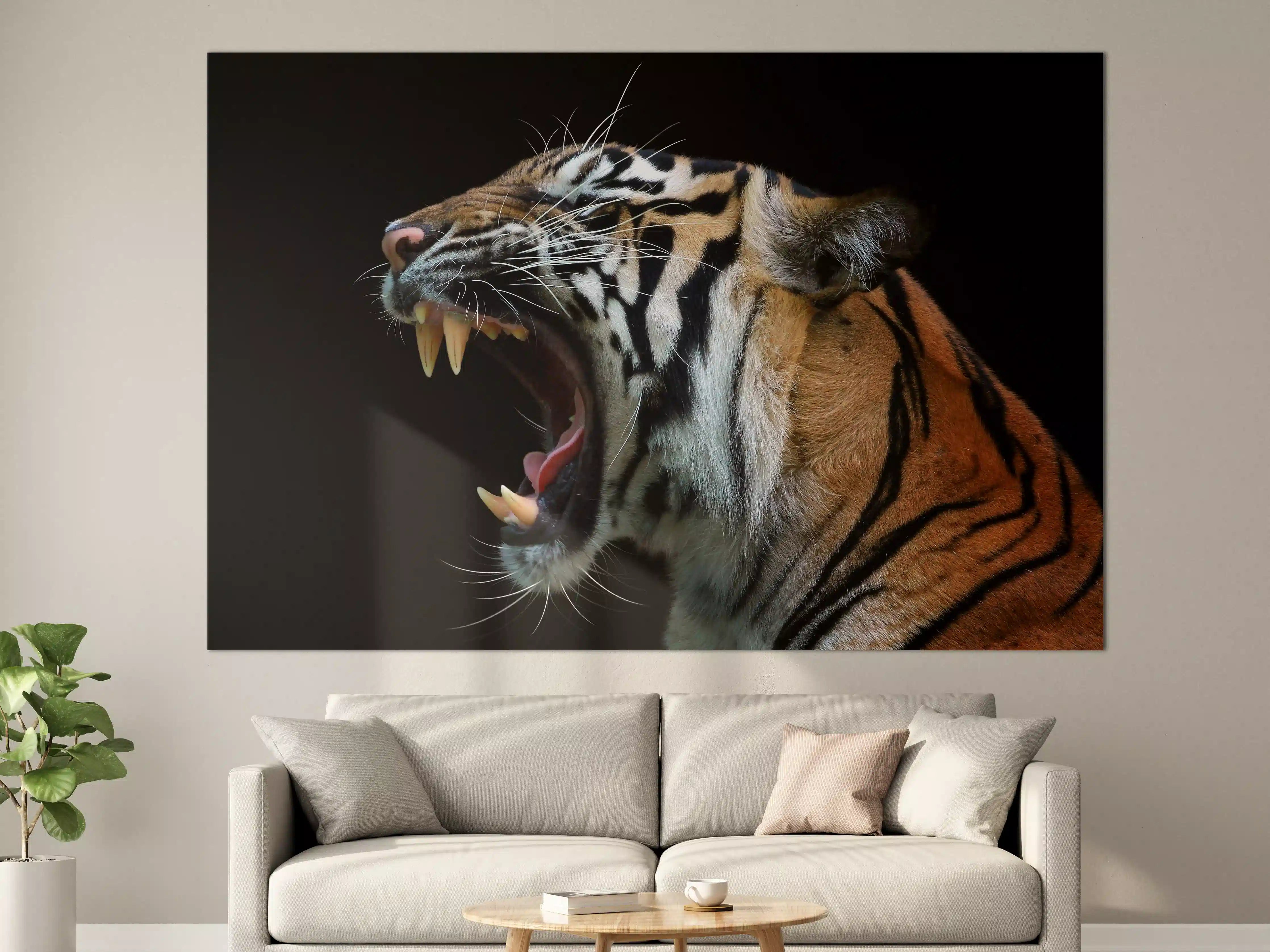 Große Wandbilder - Kopf eines Sumatra-Tigers