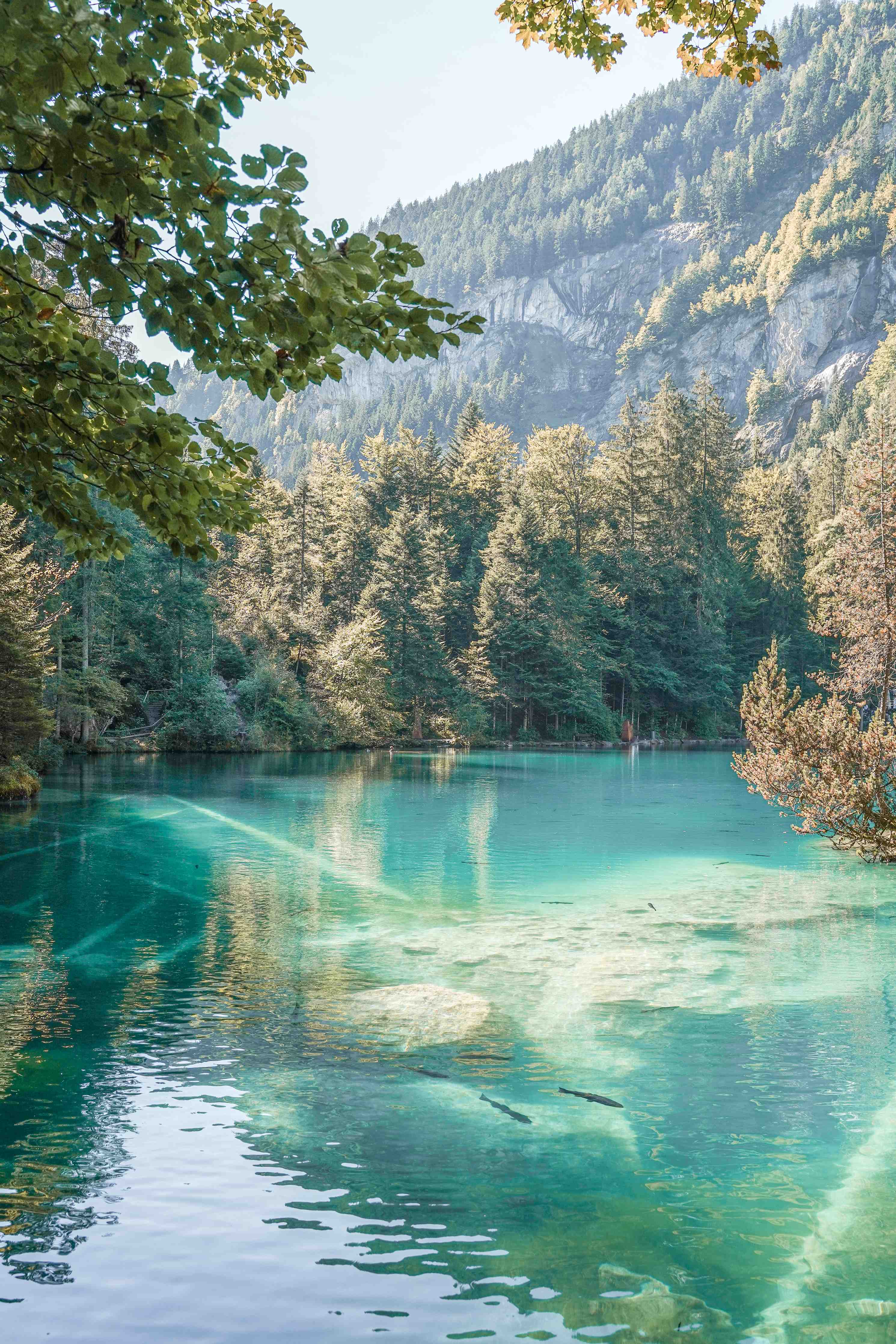 Große Wandbilder-Kristallklares Bergsee inmitten der Natur