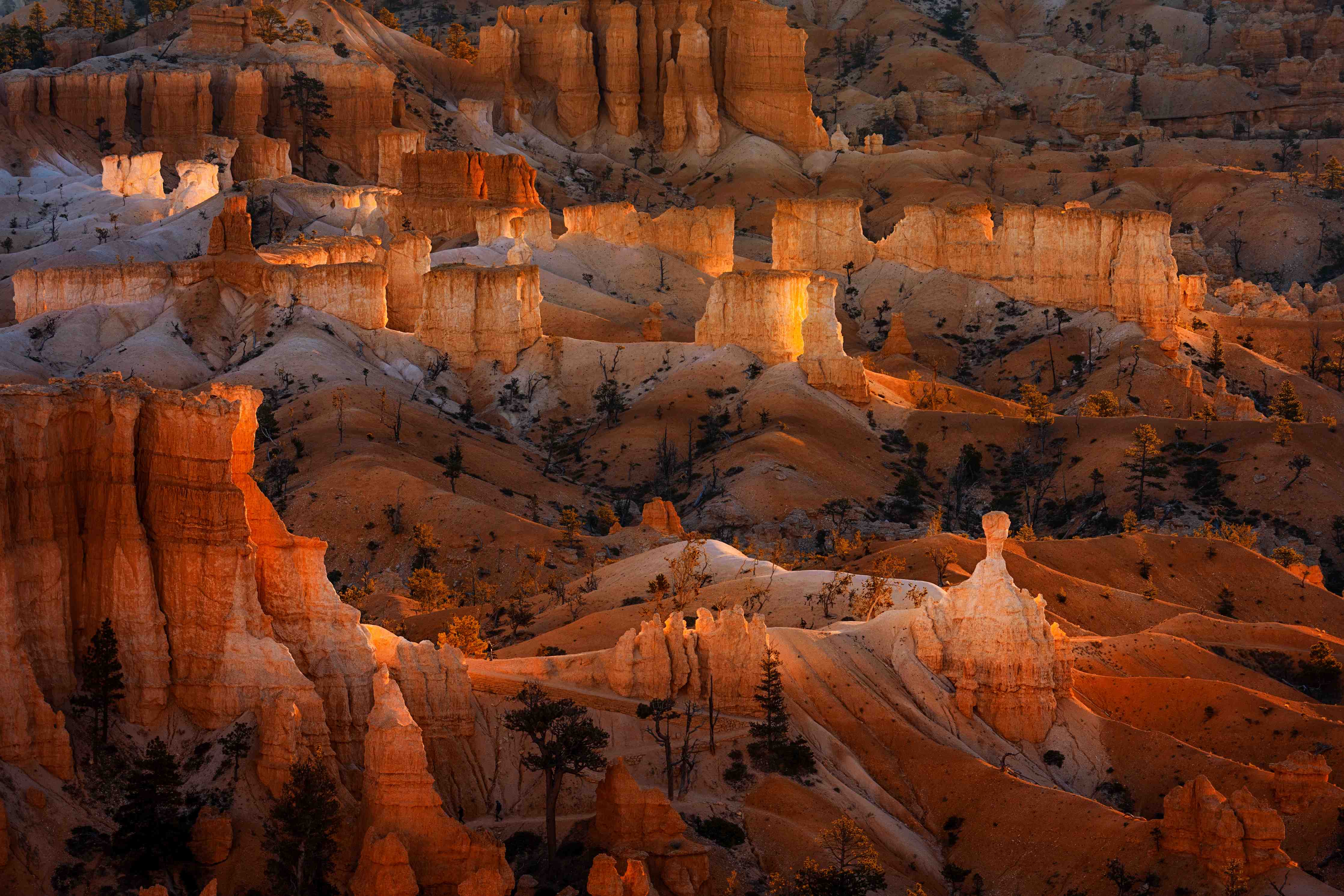 Große Wandbilder-Landschaftlicher Blick auf das Farbenspiel der Canyon-Formationen