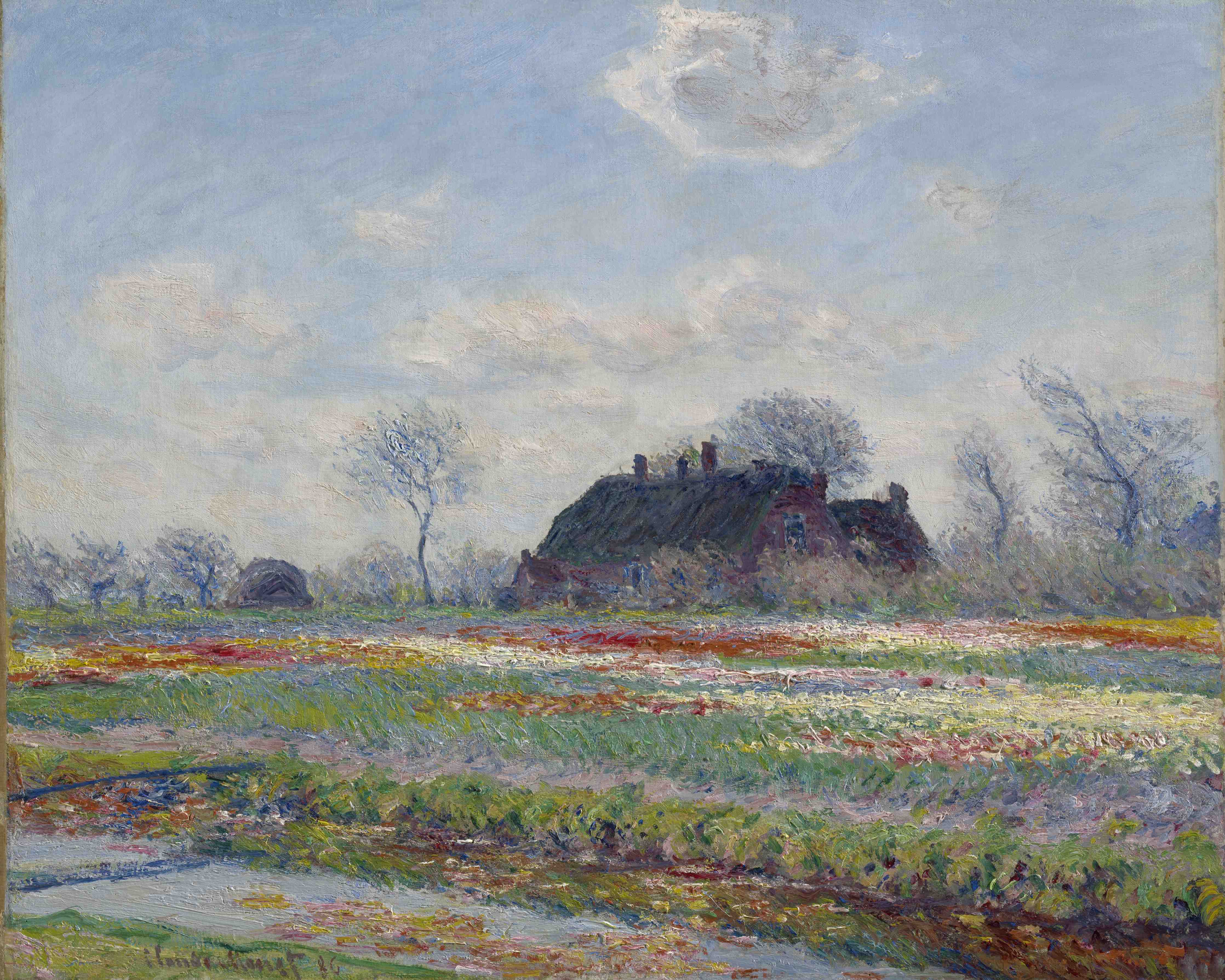Große Wandbilder-Landschaftsmalerei mit blühenden Feldern