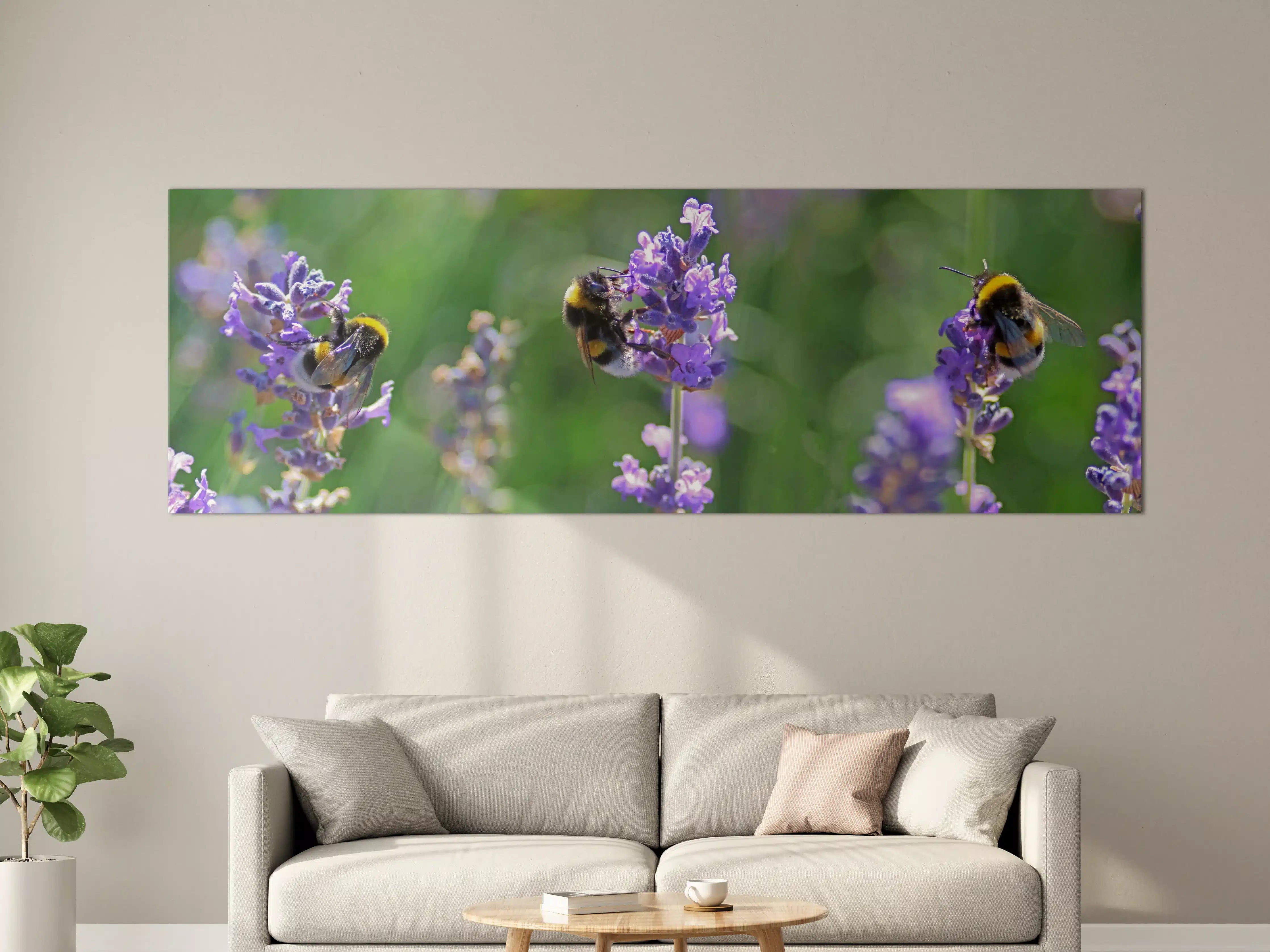 Große Wandbilder - Lavendelblüten mit Hummeln