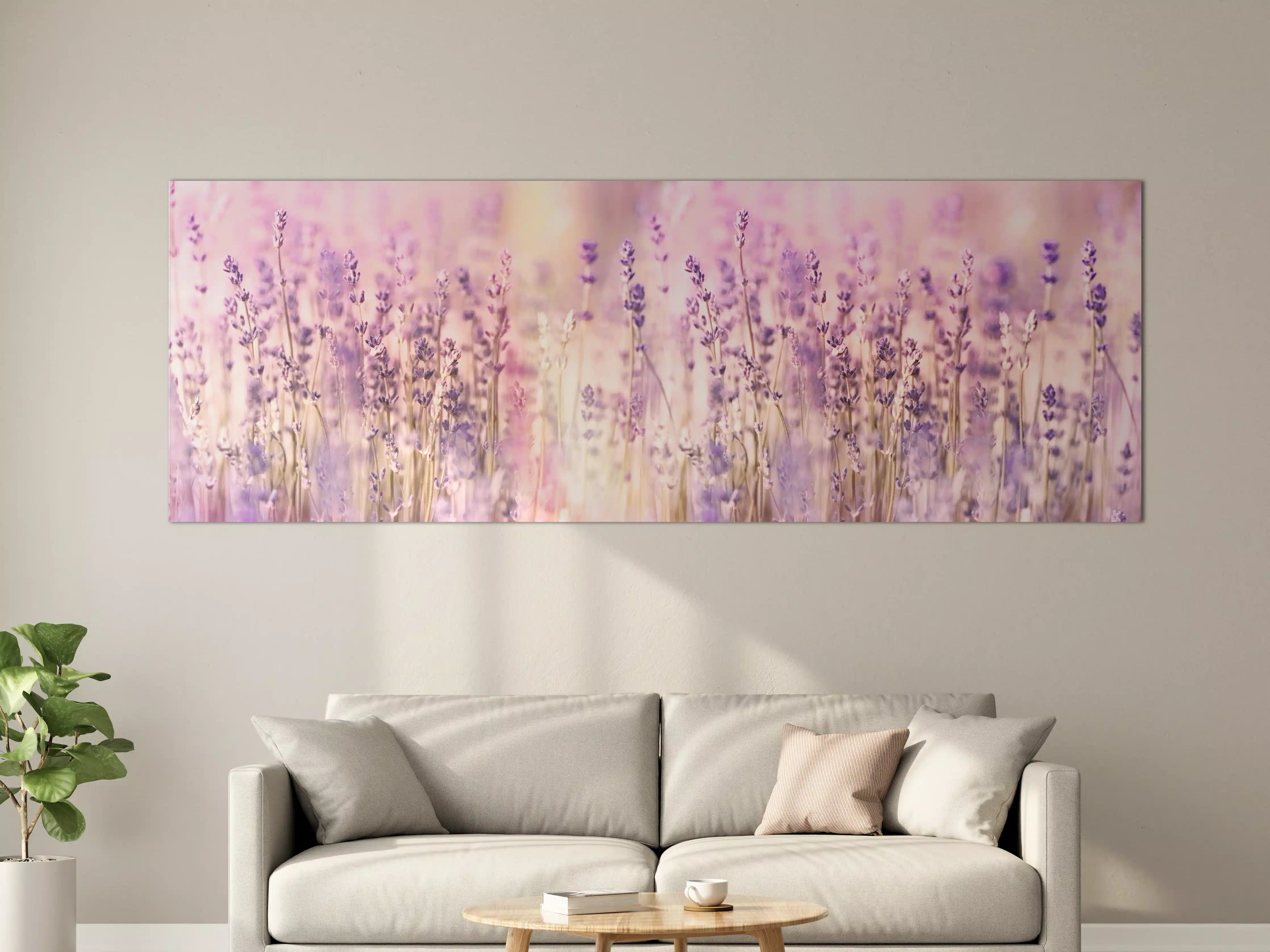 Große Wandbilder - Lavendelfeld Pastell Lila Rosa