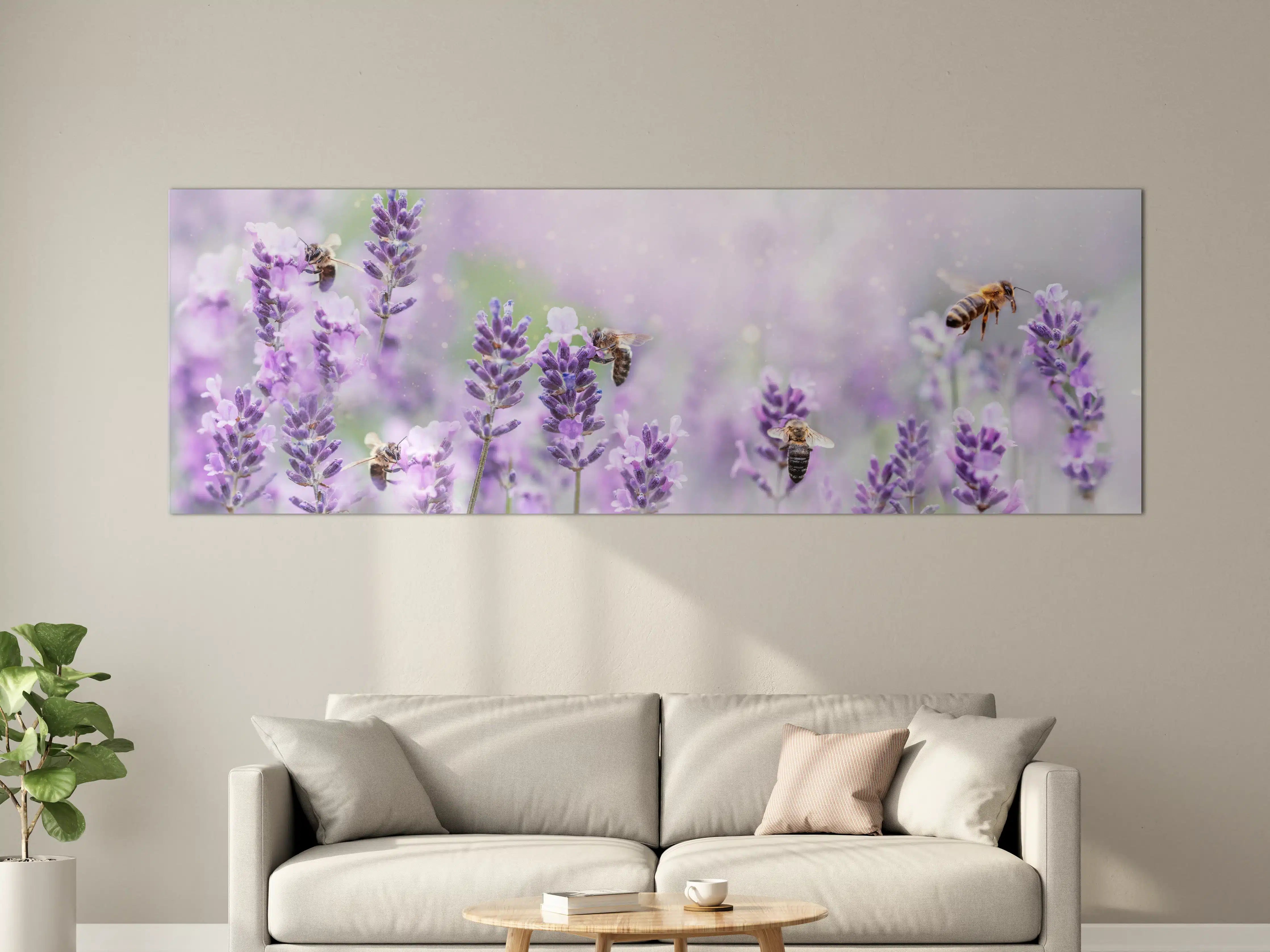 Große Wandbilder - Lavendelfeld mit Bienen