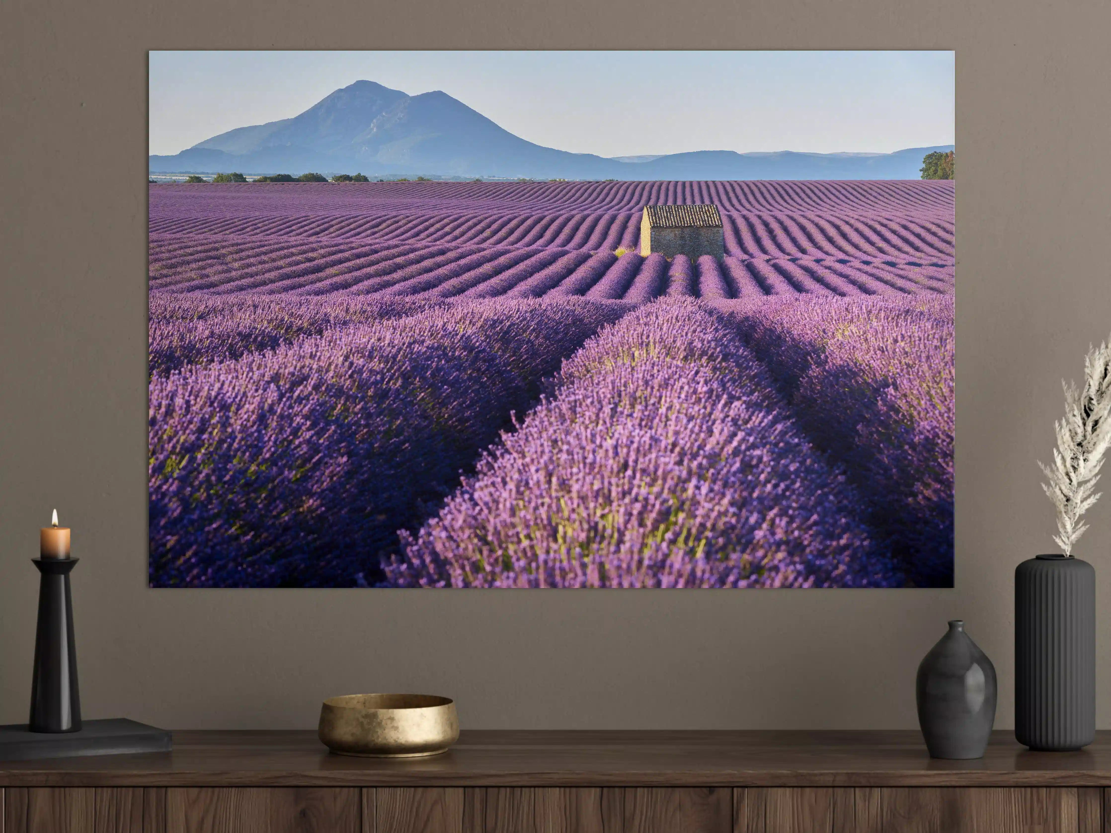 Große Wandbilder - Lavendelfelder auf dem Plateau de Valensole 