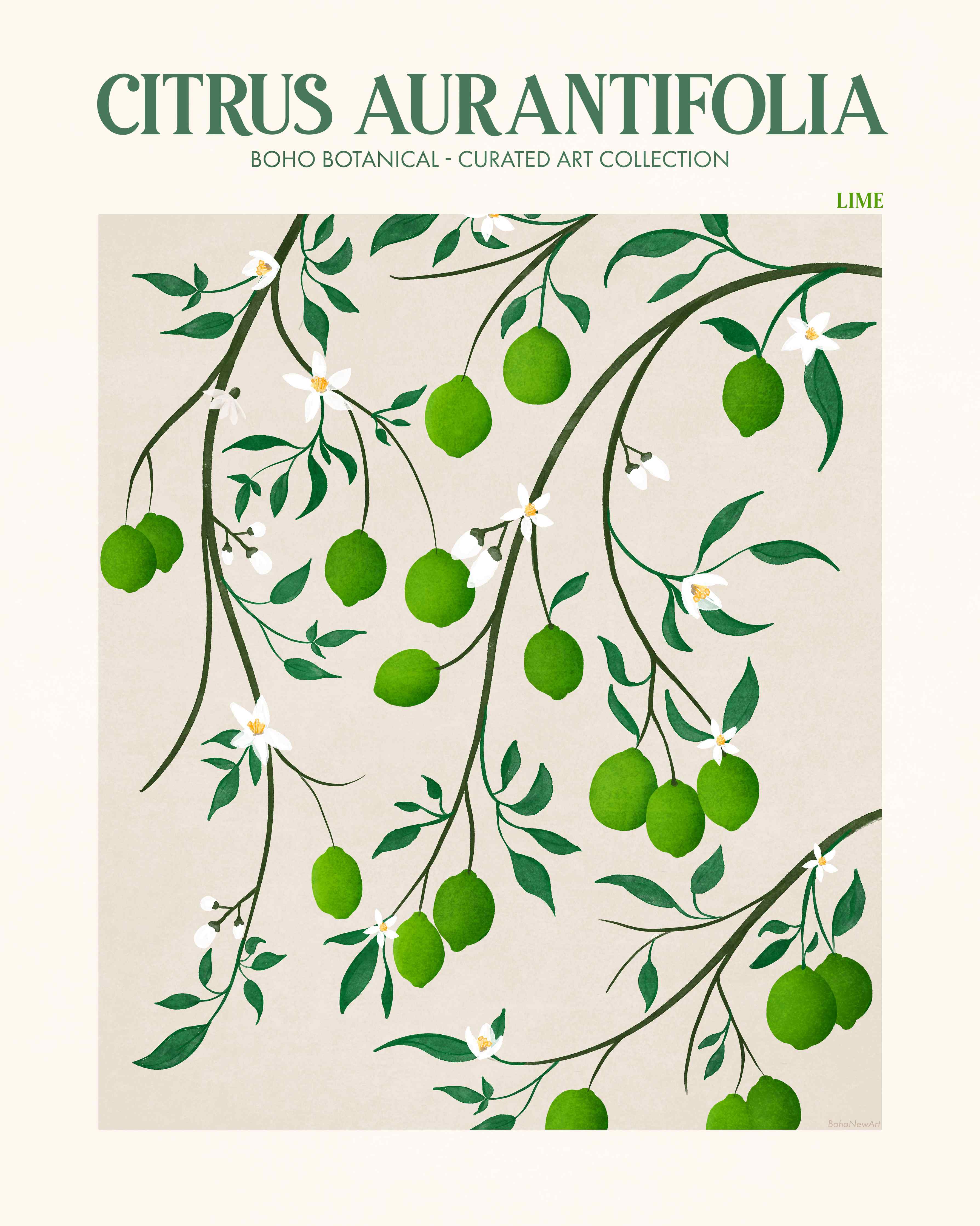 Große Wandbilder-Lebendige Citrus-Aurantifolia-Zwiebel