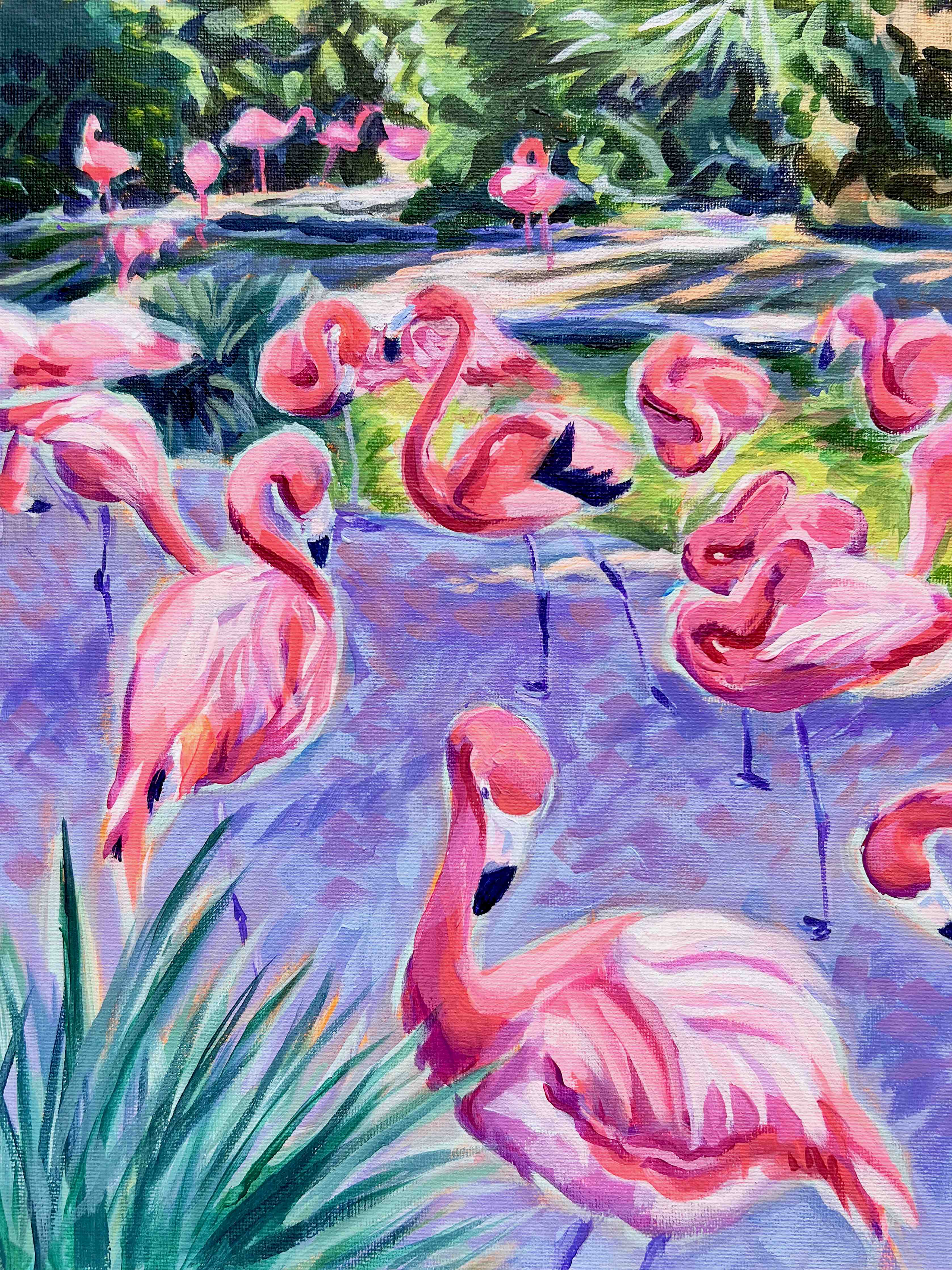 Große Wandbilder-Lebendige Flamingos im Wasser
