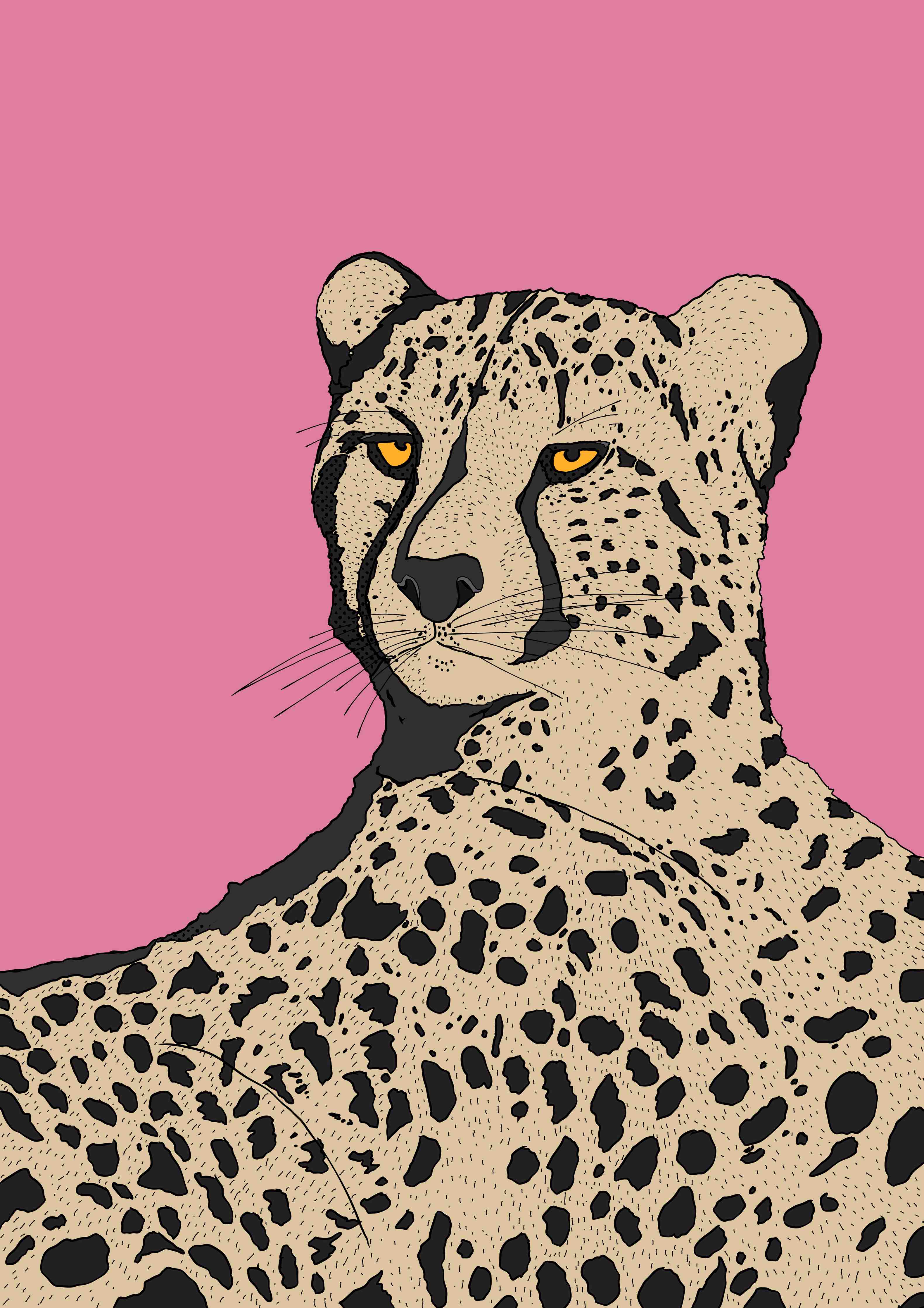 Große Wandbilder-Leopard auf pinkem Hintergrund