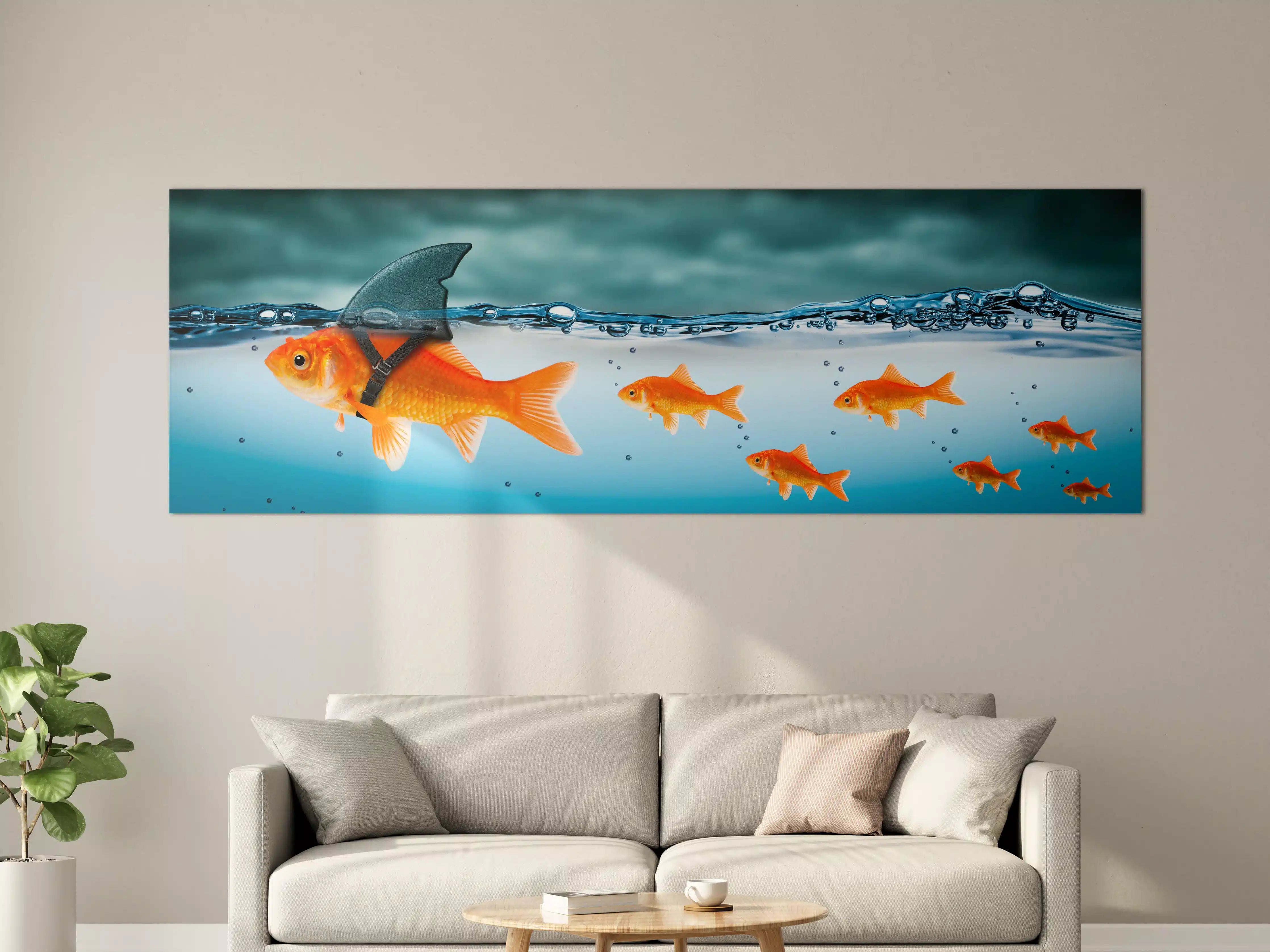 Große Wandbilder - Leuchtende Goldfische im Wasser mit Hai-Flosse