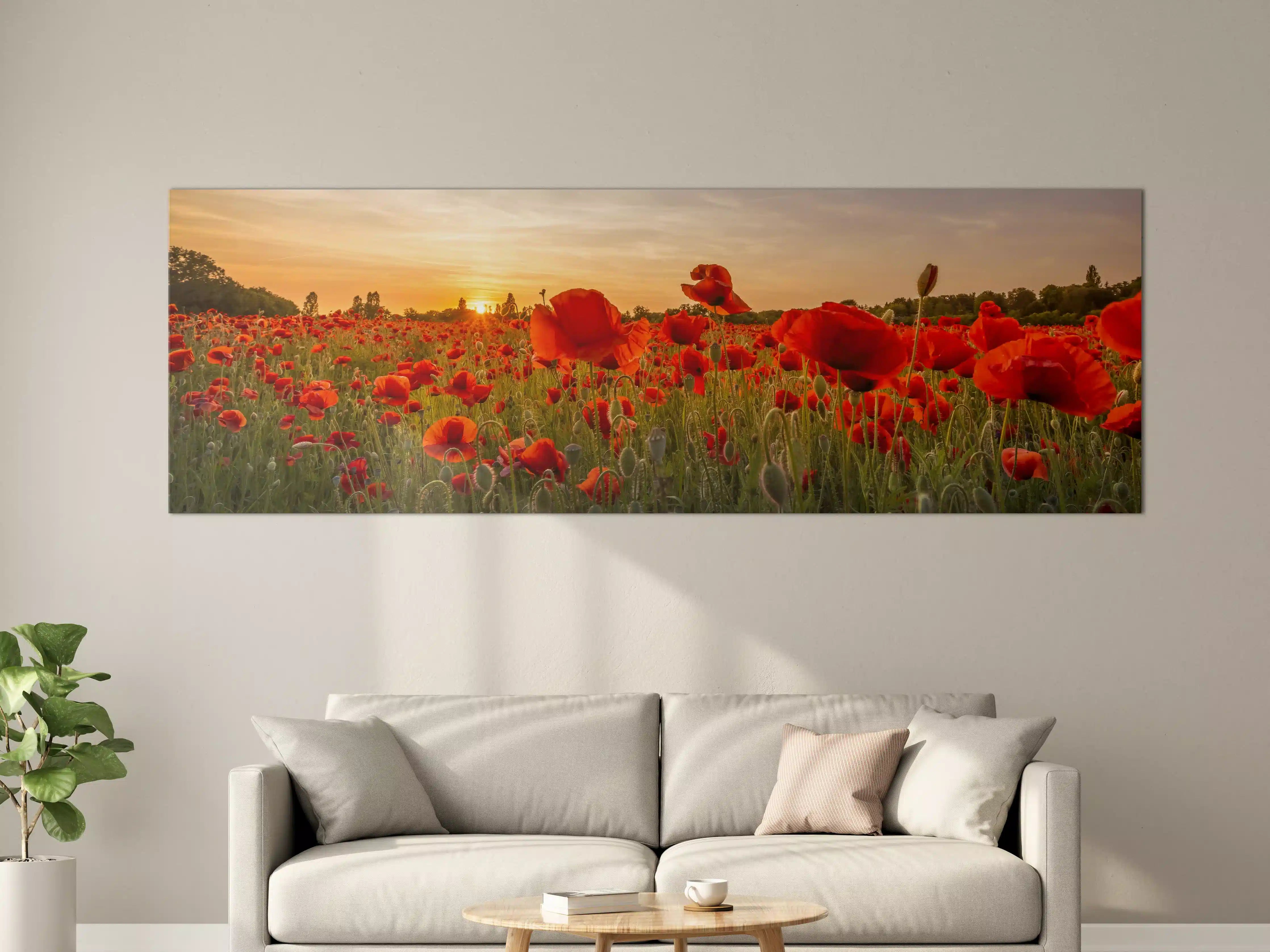 Große Wandbilder - Leuchtende Mohnblumen im Sonnenuntergang