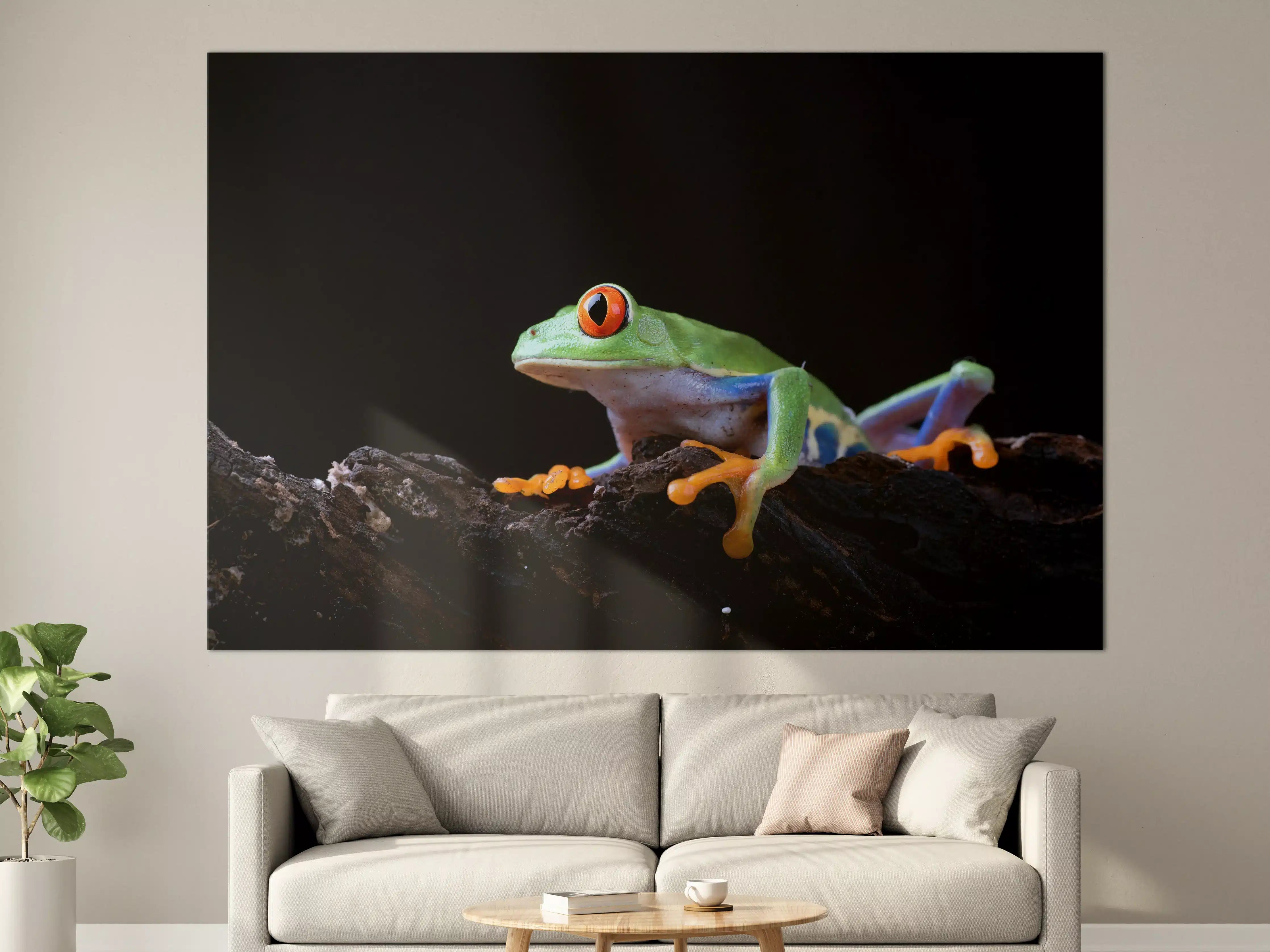 Große Wandbilder - Leuchtende Warnfarbe der Rotaugenlaubfrosch