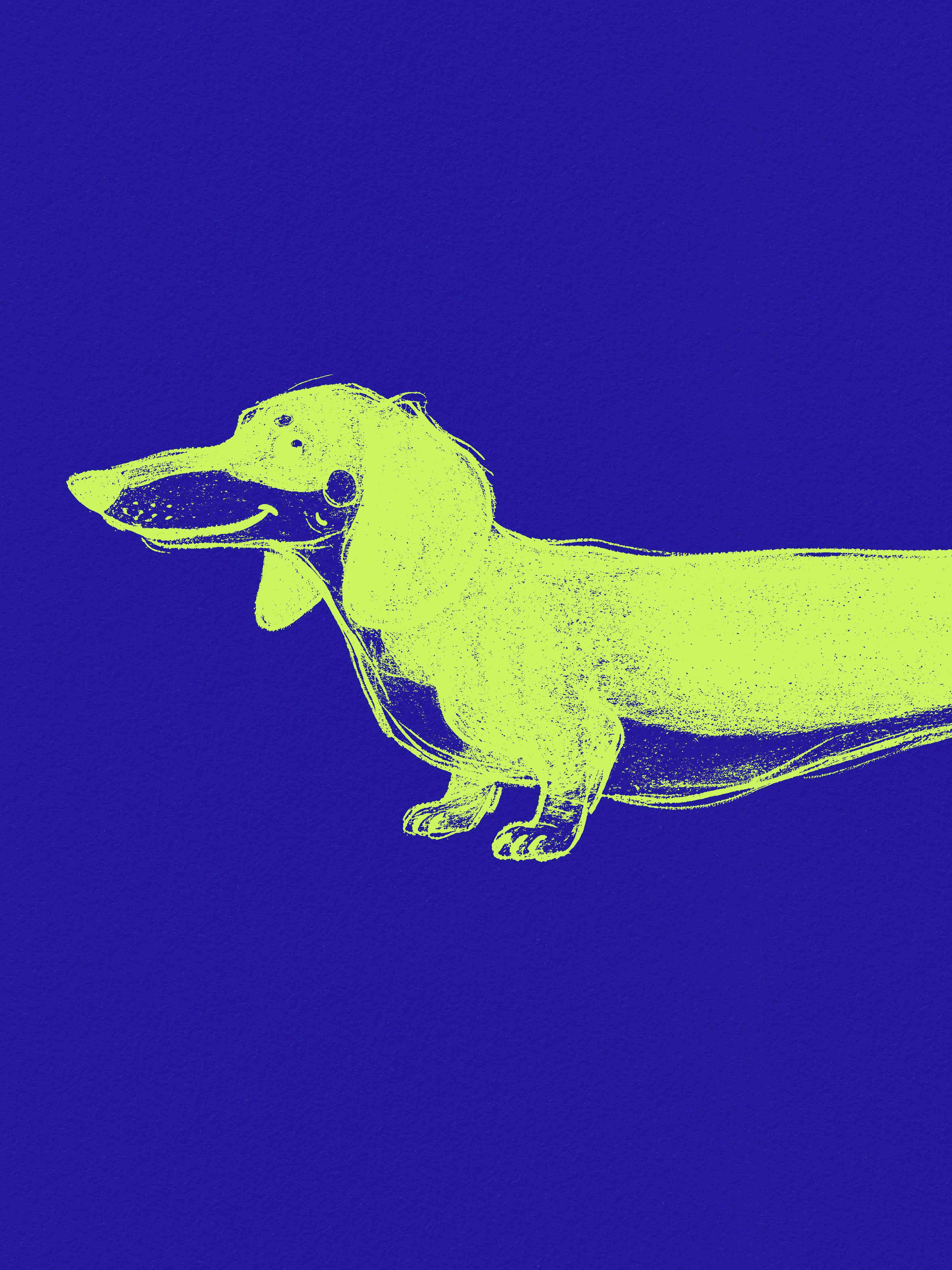 Große Wandbilder-Leuchtendes Krokodil auf blauem Hintergrund