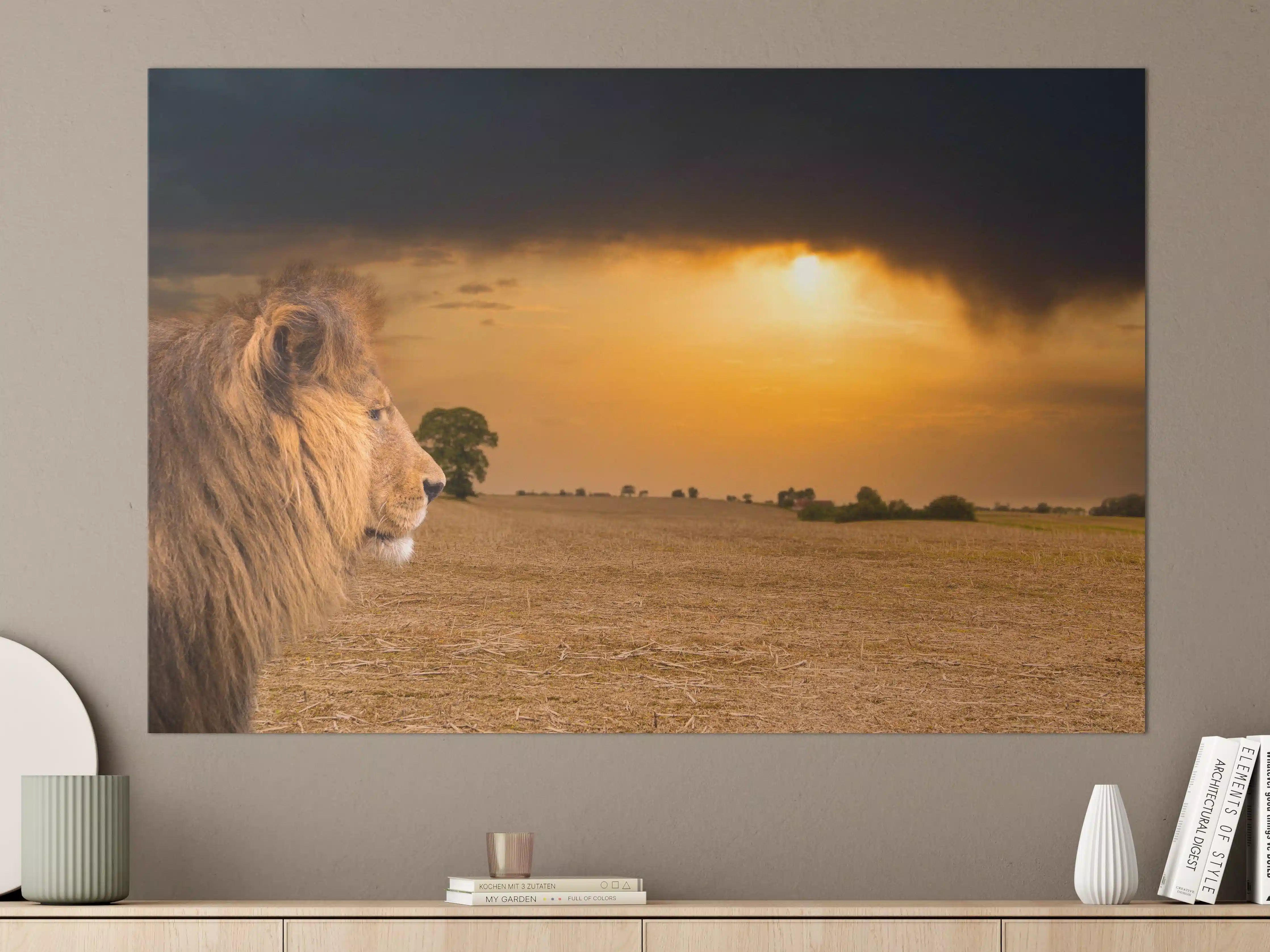 Große Wandbilder - Löwe in Steppe im Sonnenuntergang