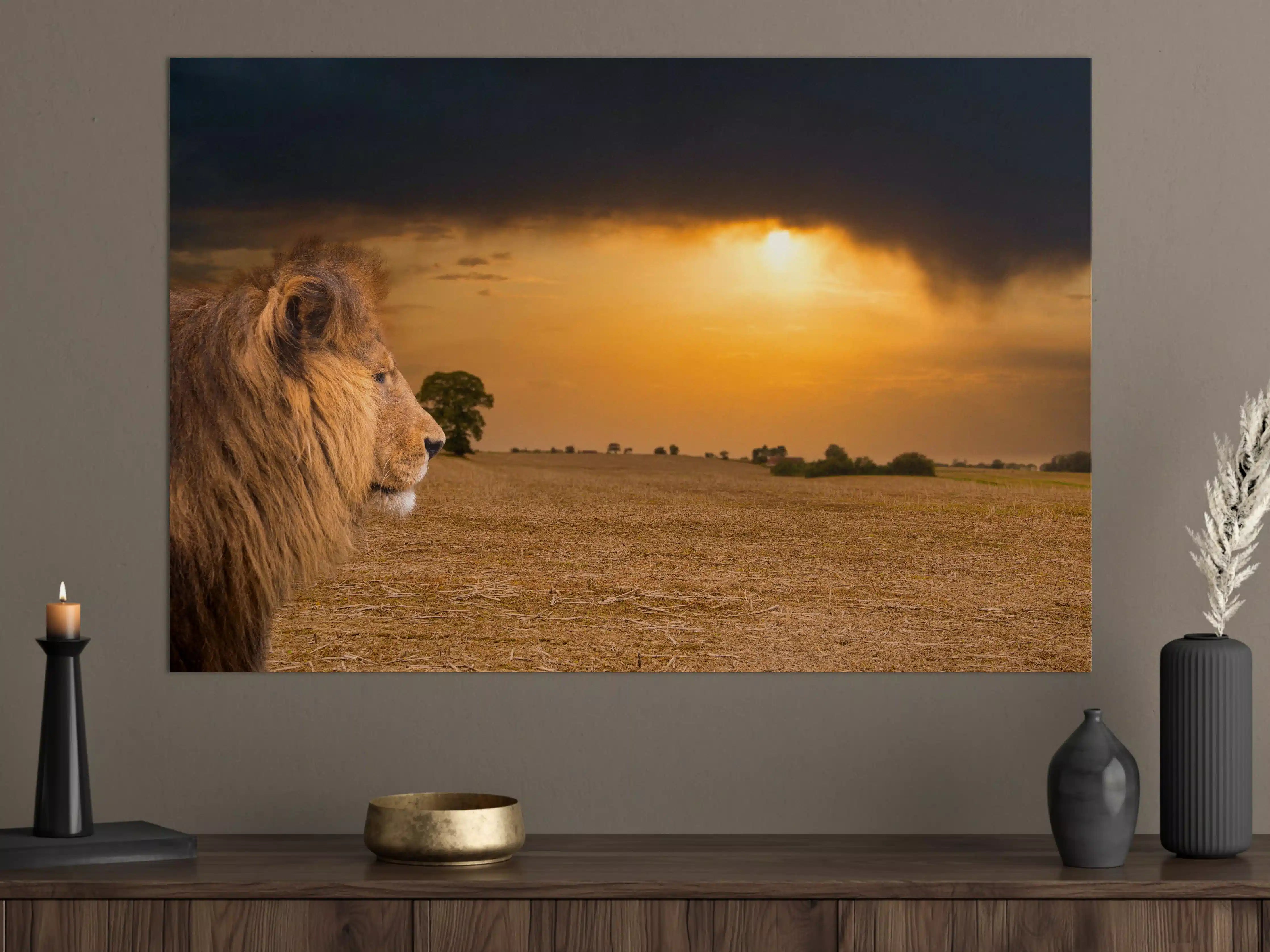 Große Wandbilder - Löwe in Steppe im Sonnenuntergang