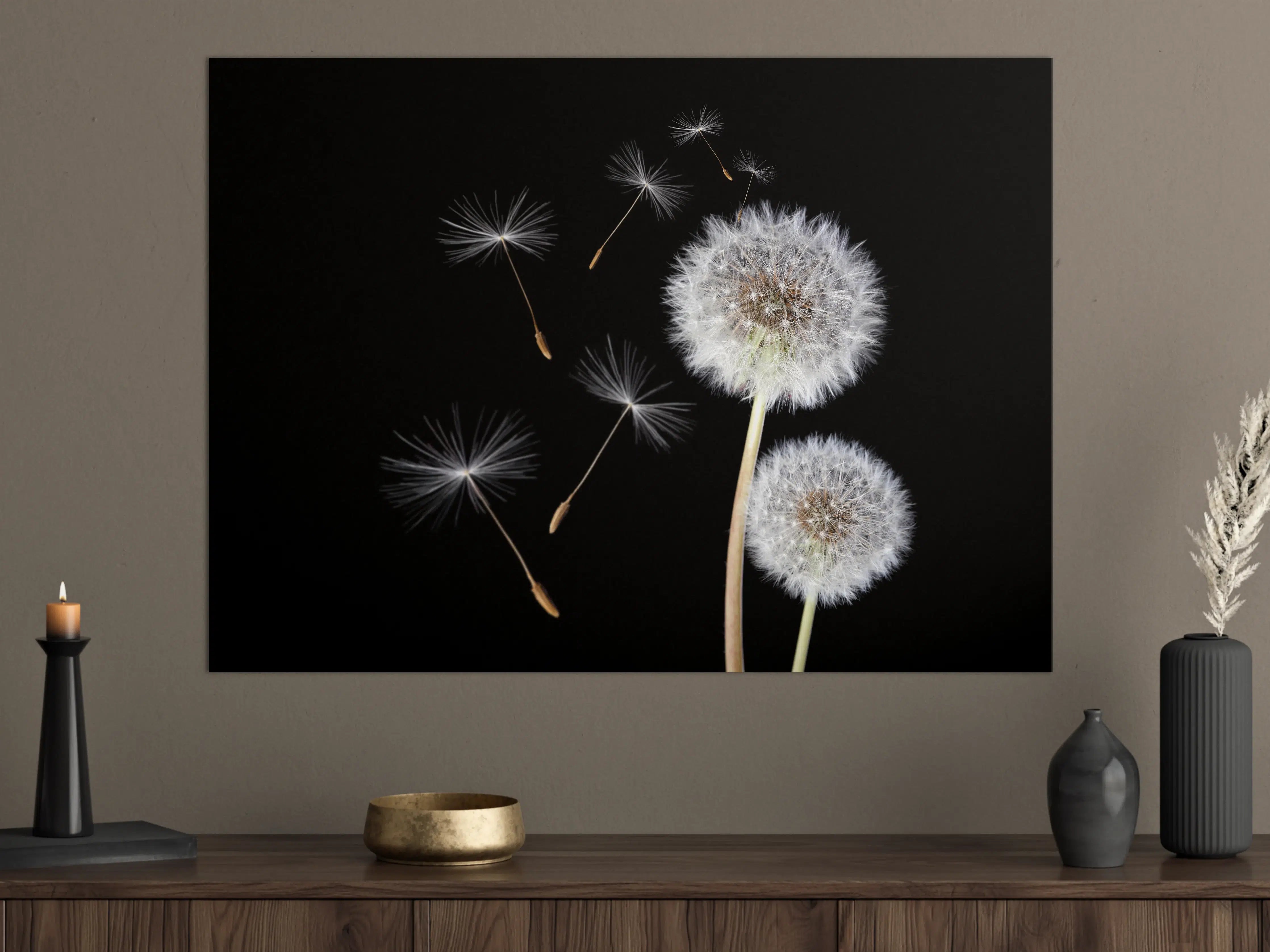 Große Wandbilder - Löwenzahn auf schwarzem Hintergrund