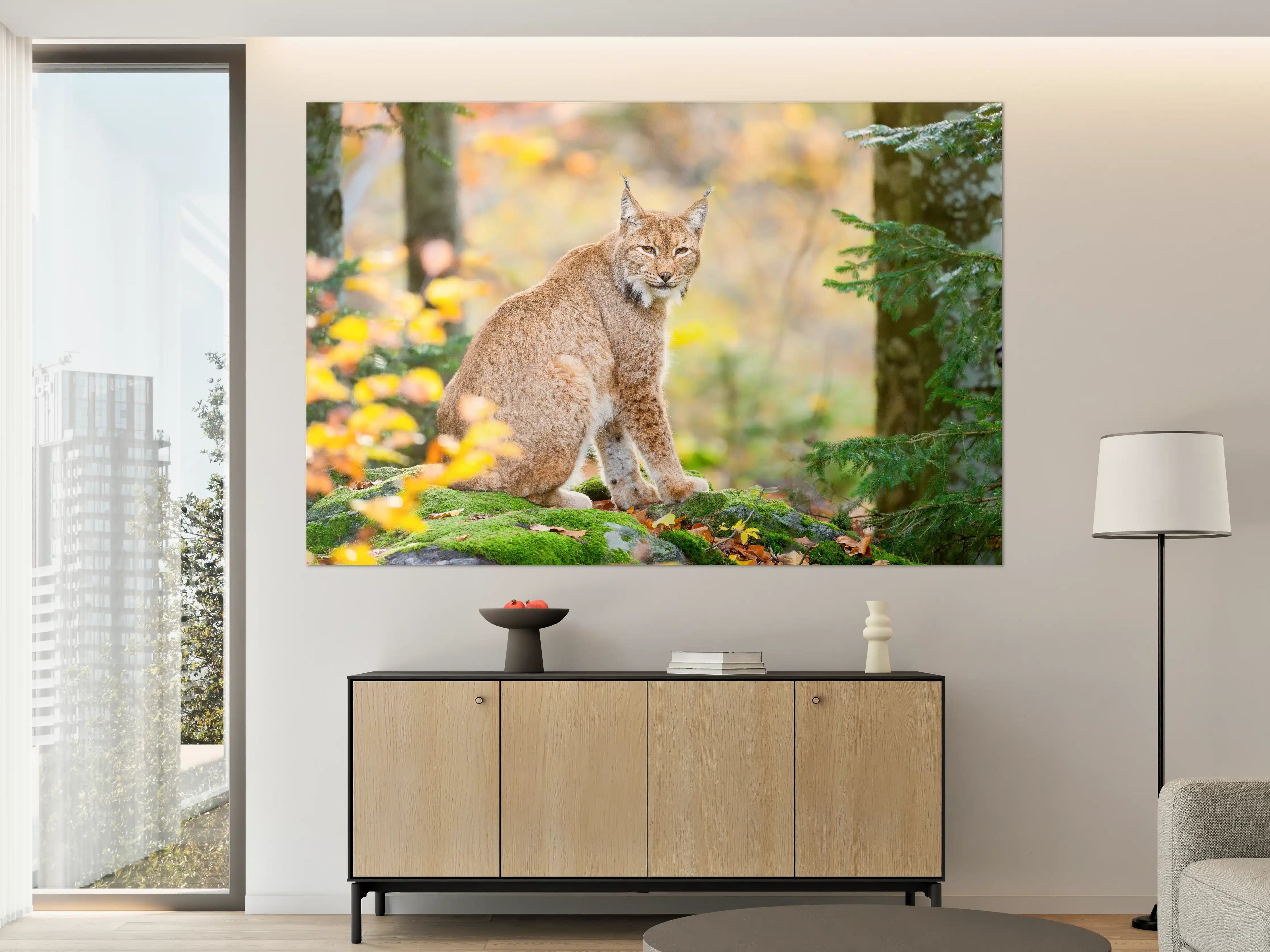 Große Wandbilder - Luchs in Herbstnatur mit bunten Blättern