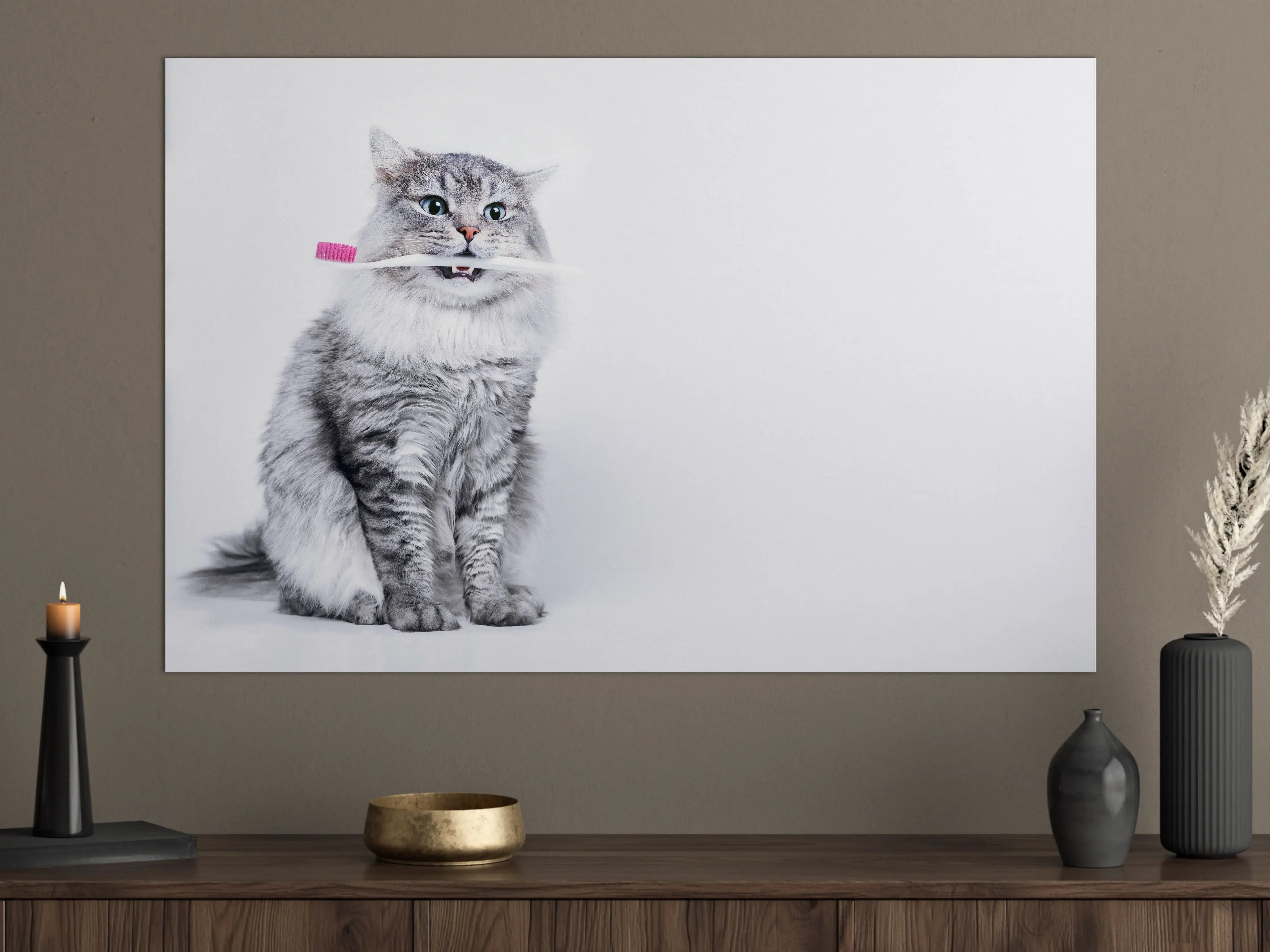 Große Wandbilder - Lustige Katze mit Zahnbürste