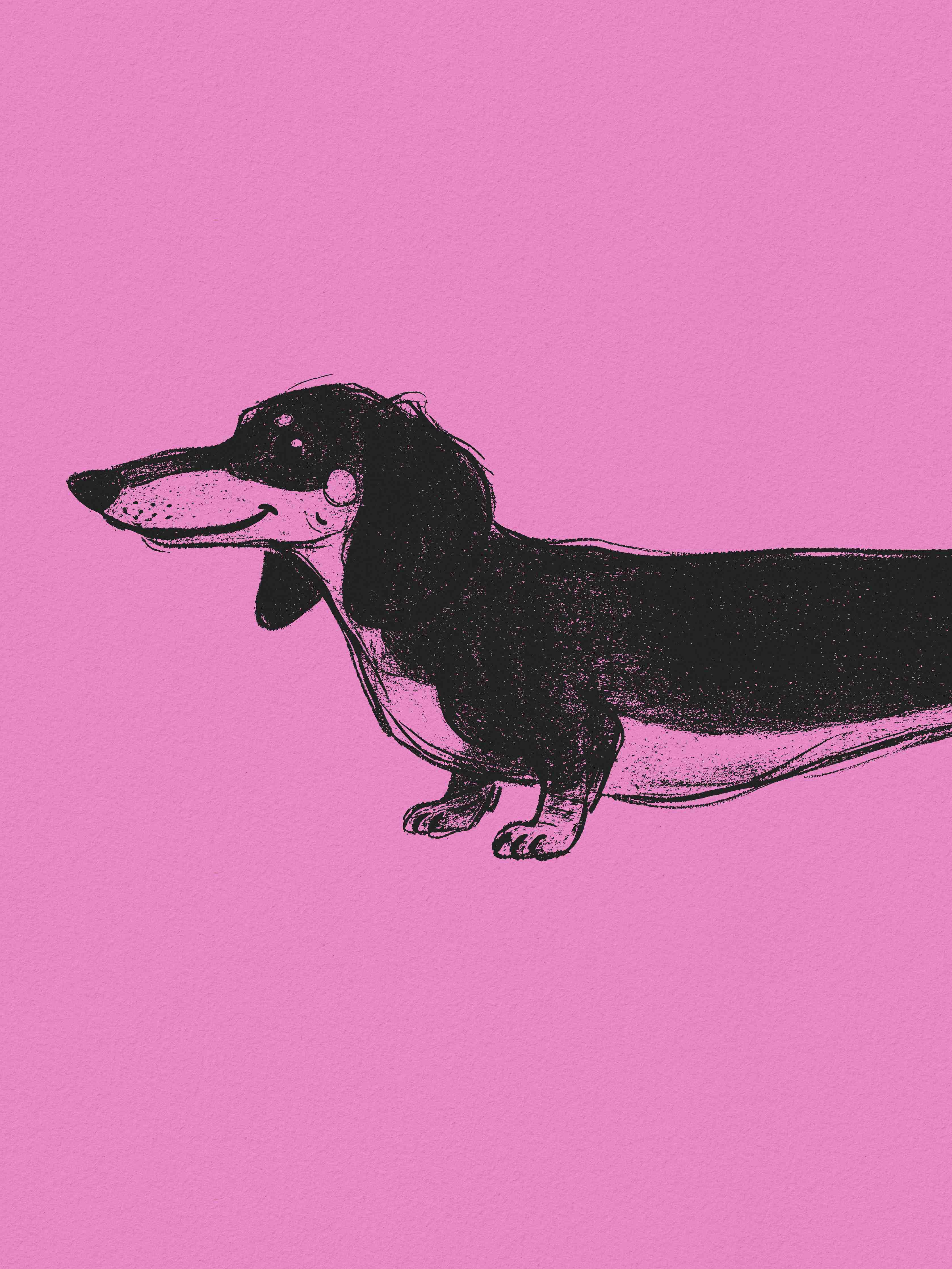 Große Wandbilder-Lustiges Hunde-Design auf Pinkem Hintergrund