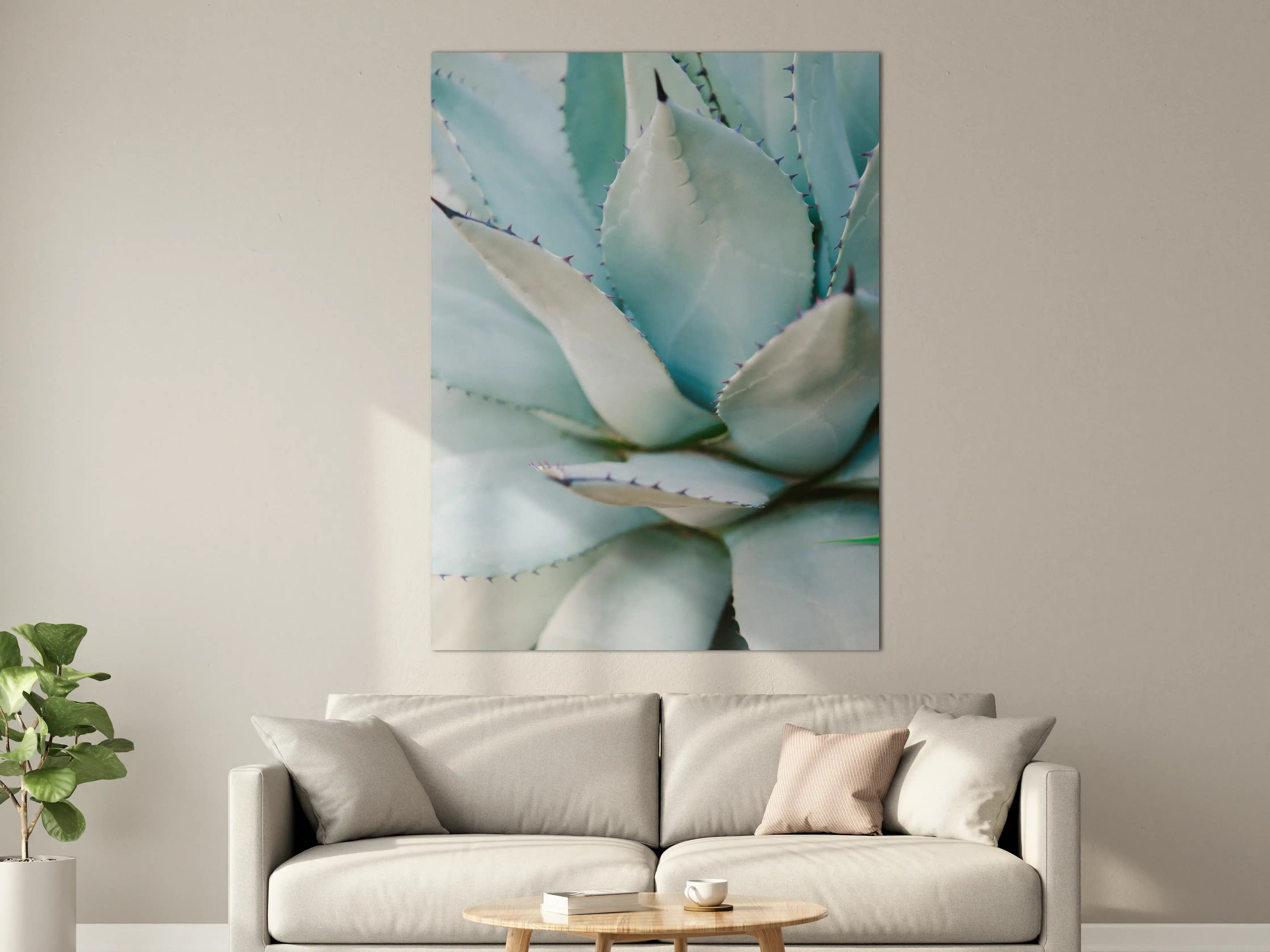 Große Wandbilder - Luxuriöse Agave in zartem Blau