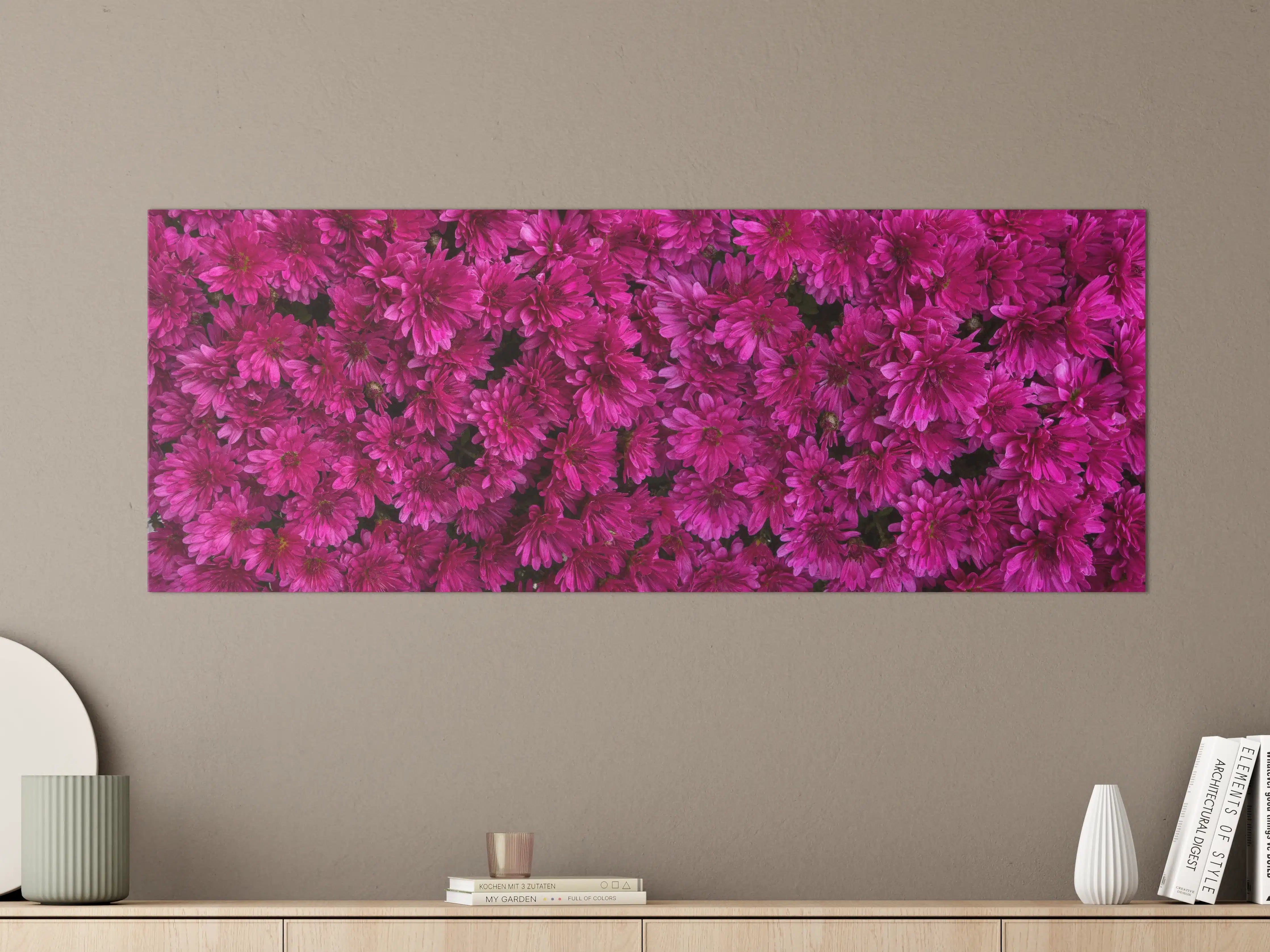 Große Wandbilder - Magenta Blüten von Chrysanthemen
