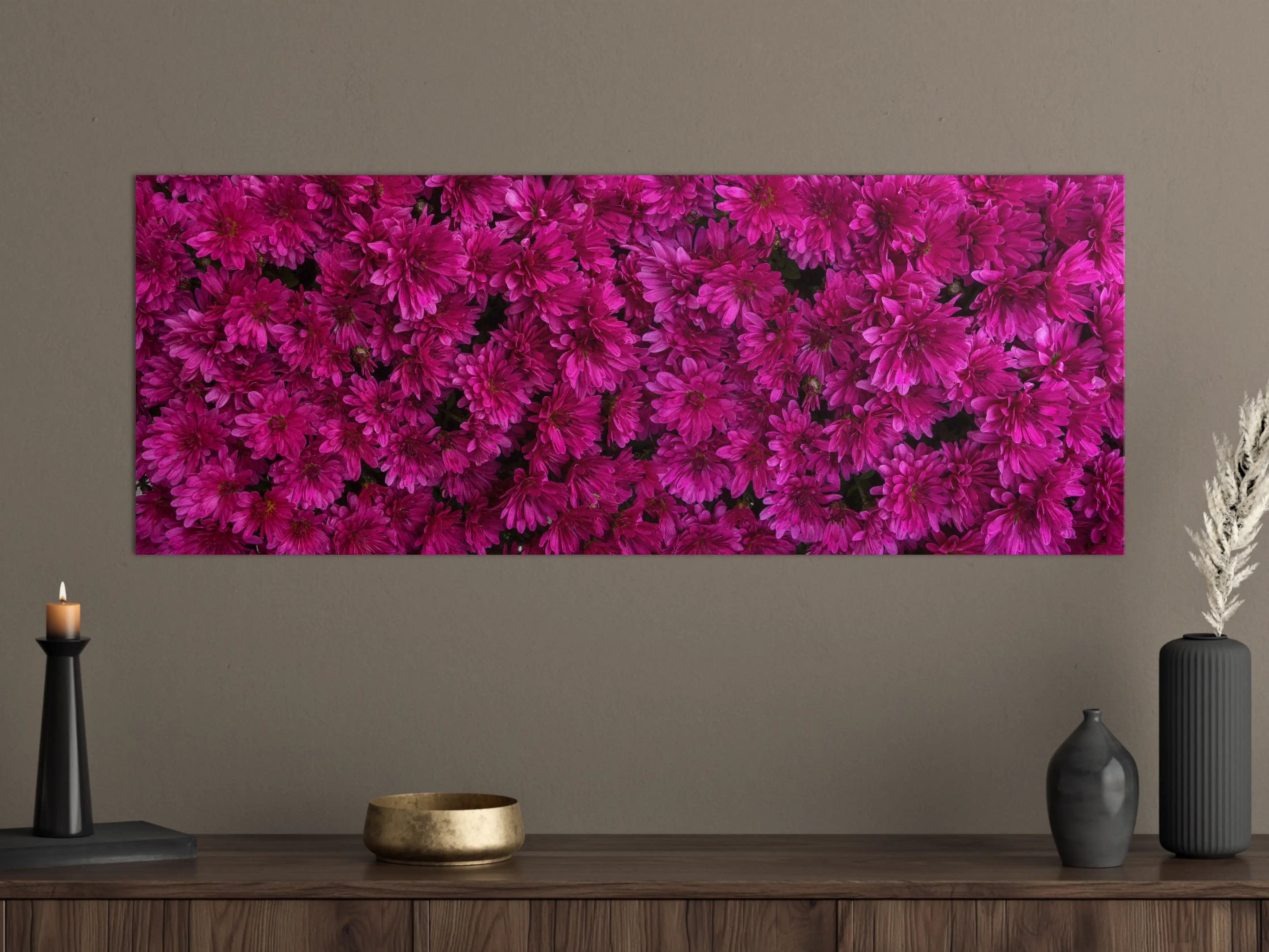 Große Wandbilder - Magenta Blüten von Chrysanthemen