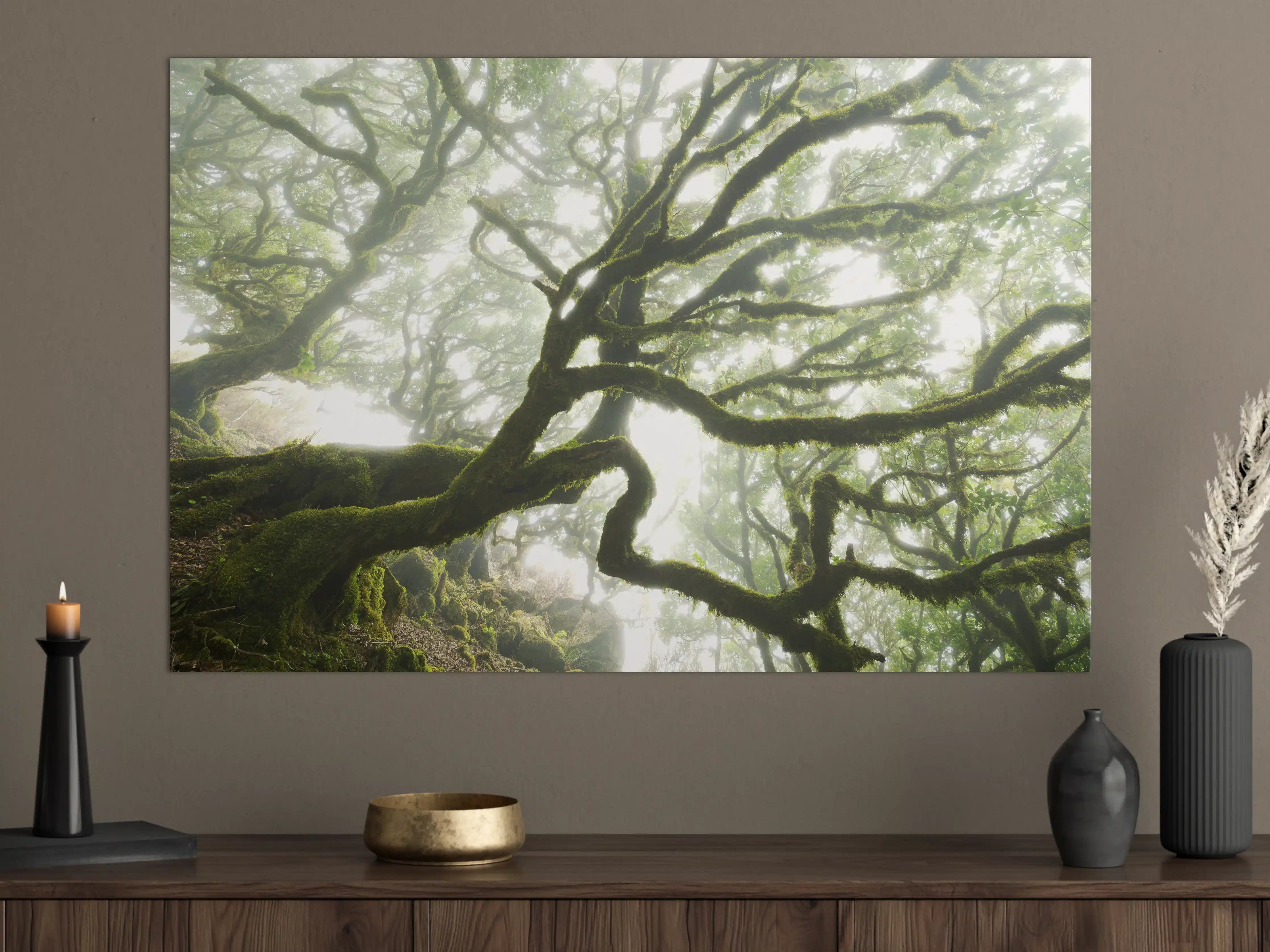 Große Wandbilder - Magischer Baum