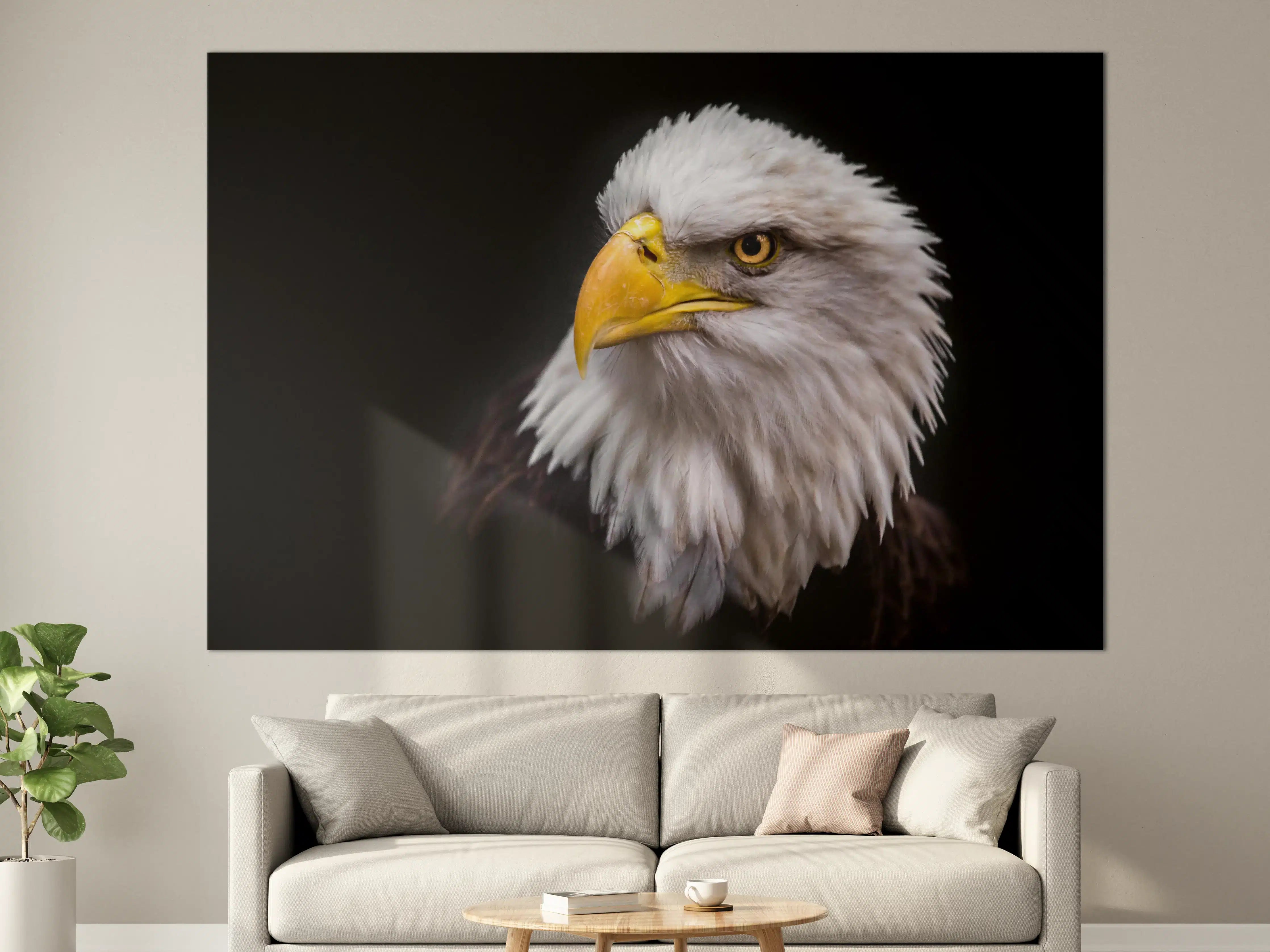Große Wandbilder - Majestätischer Adler