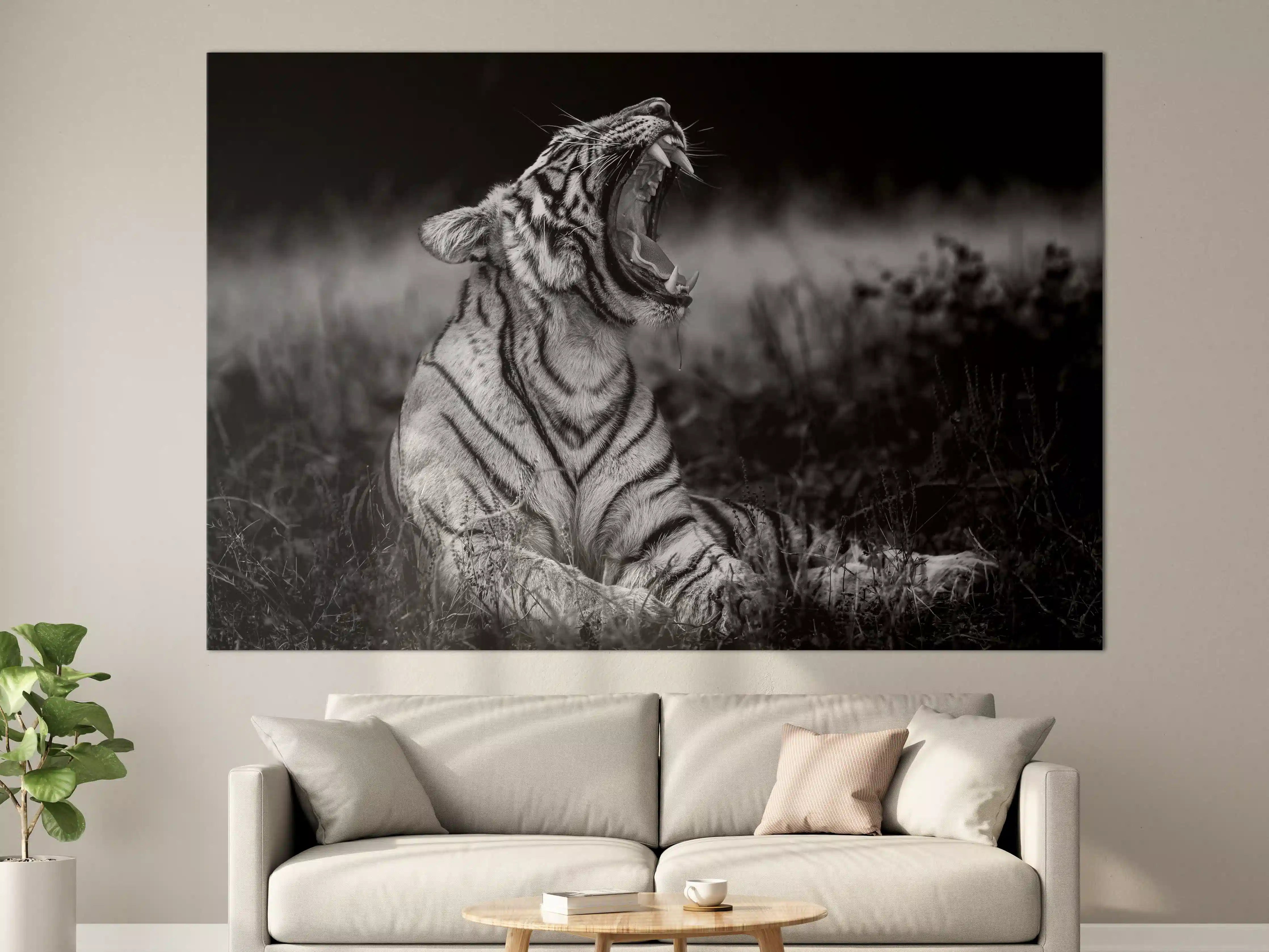 Große Wandbilder - Majestätischer Tiger in Schwarzweiß