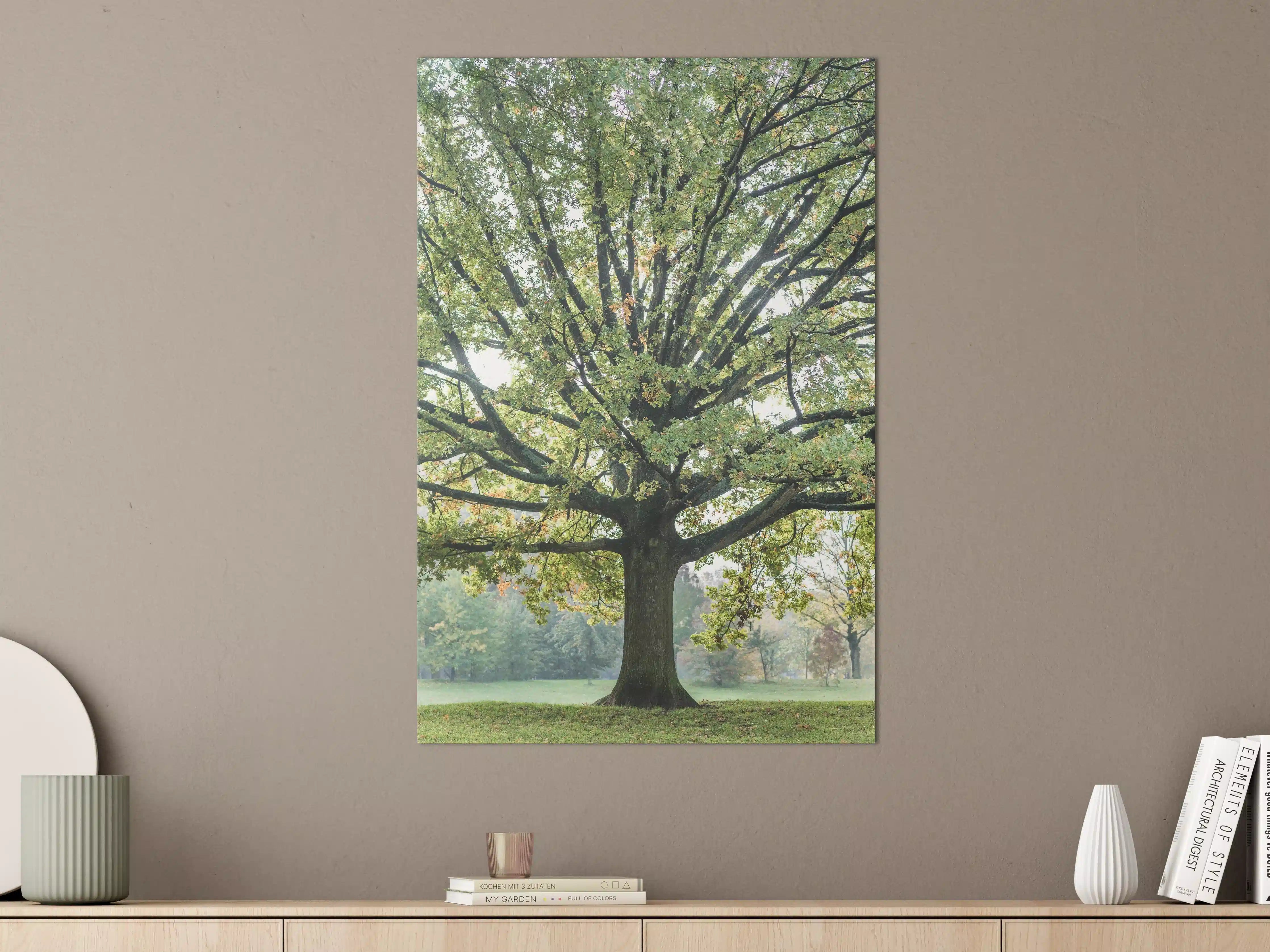 Große Wandbilder - Majestischer Baum in grüner Natur