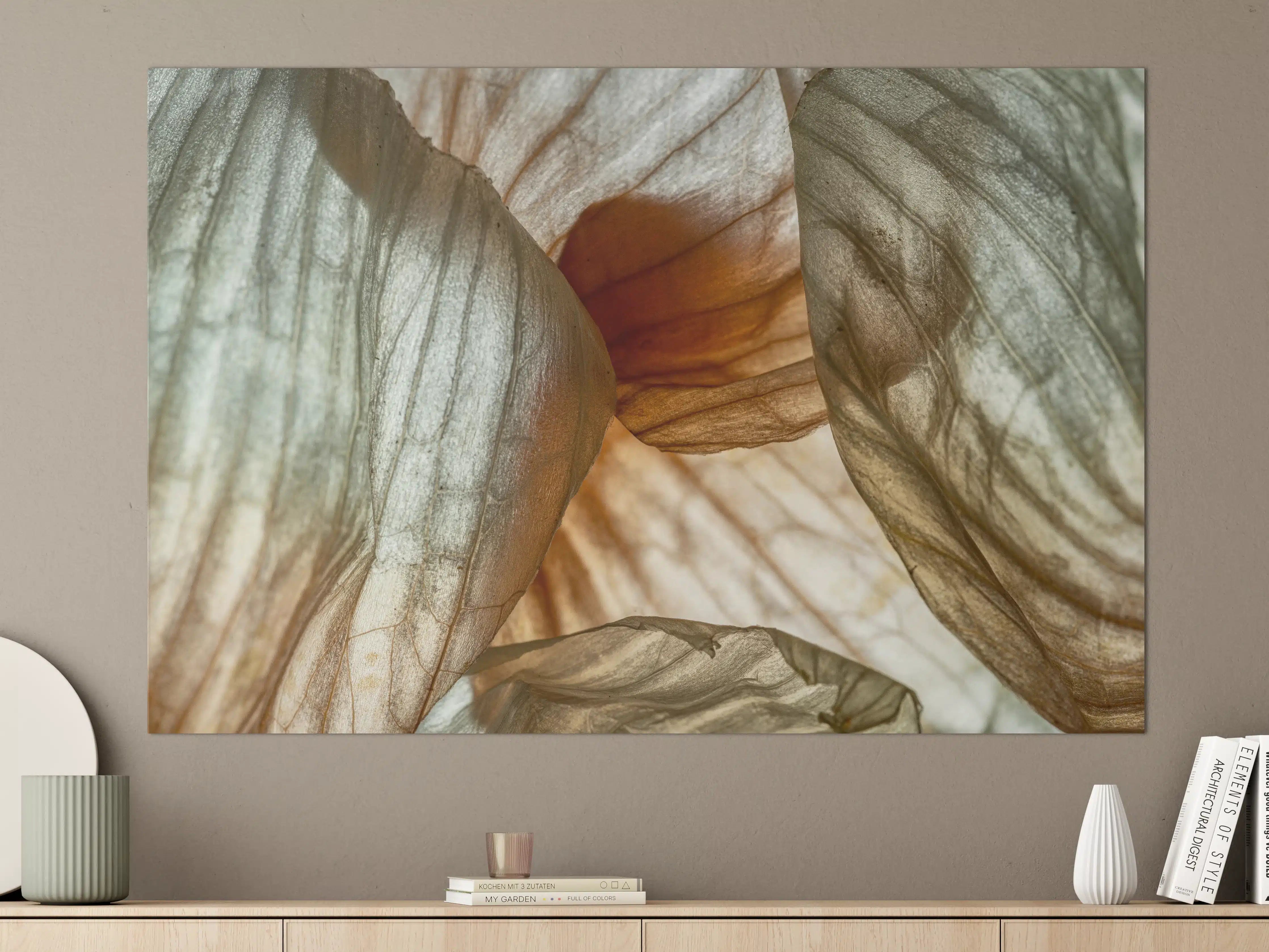 Große Wandbilder - Makrofotografie der Schalenblatttextur einer Zwiebel