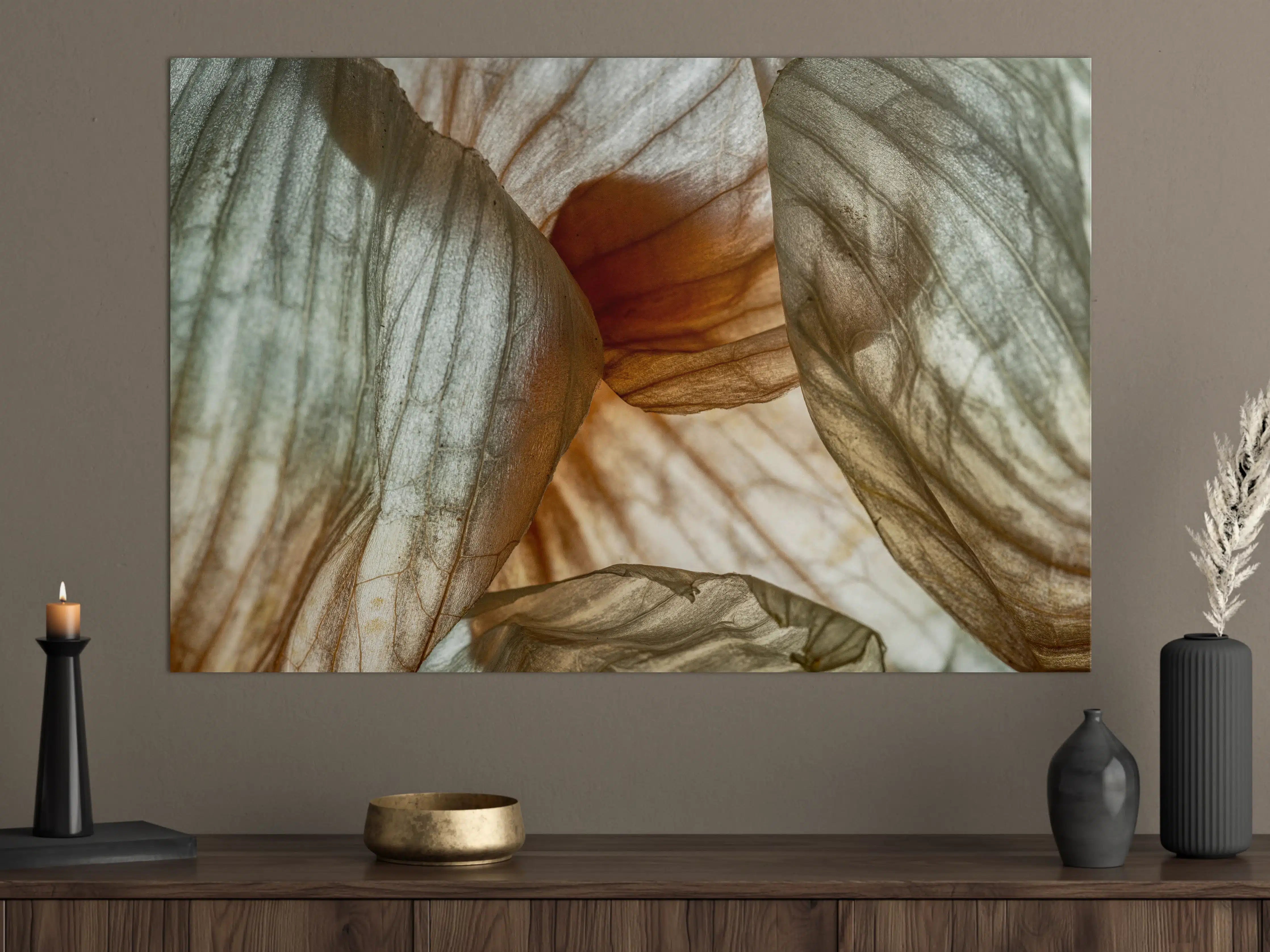 Große Wandbilder - Makrofotografie der Schalenblatttextur einer Zwiebel