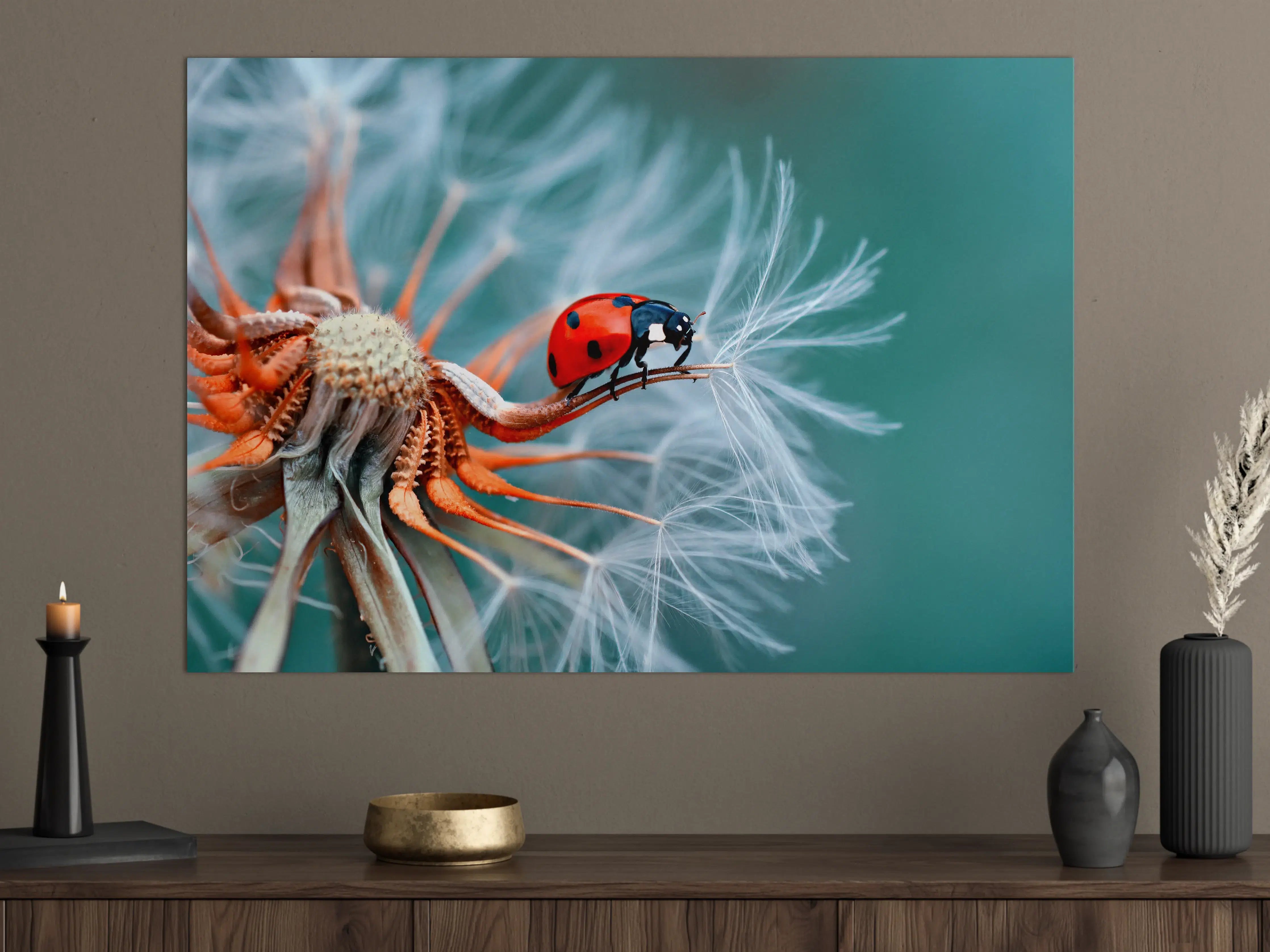 Große Wandbilder - Marienkäfer auf Pusteblume