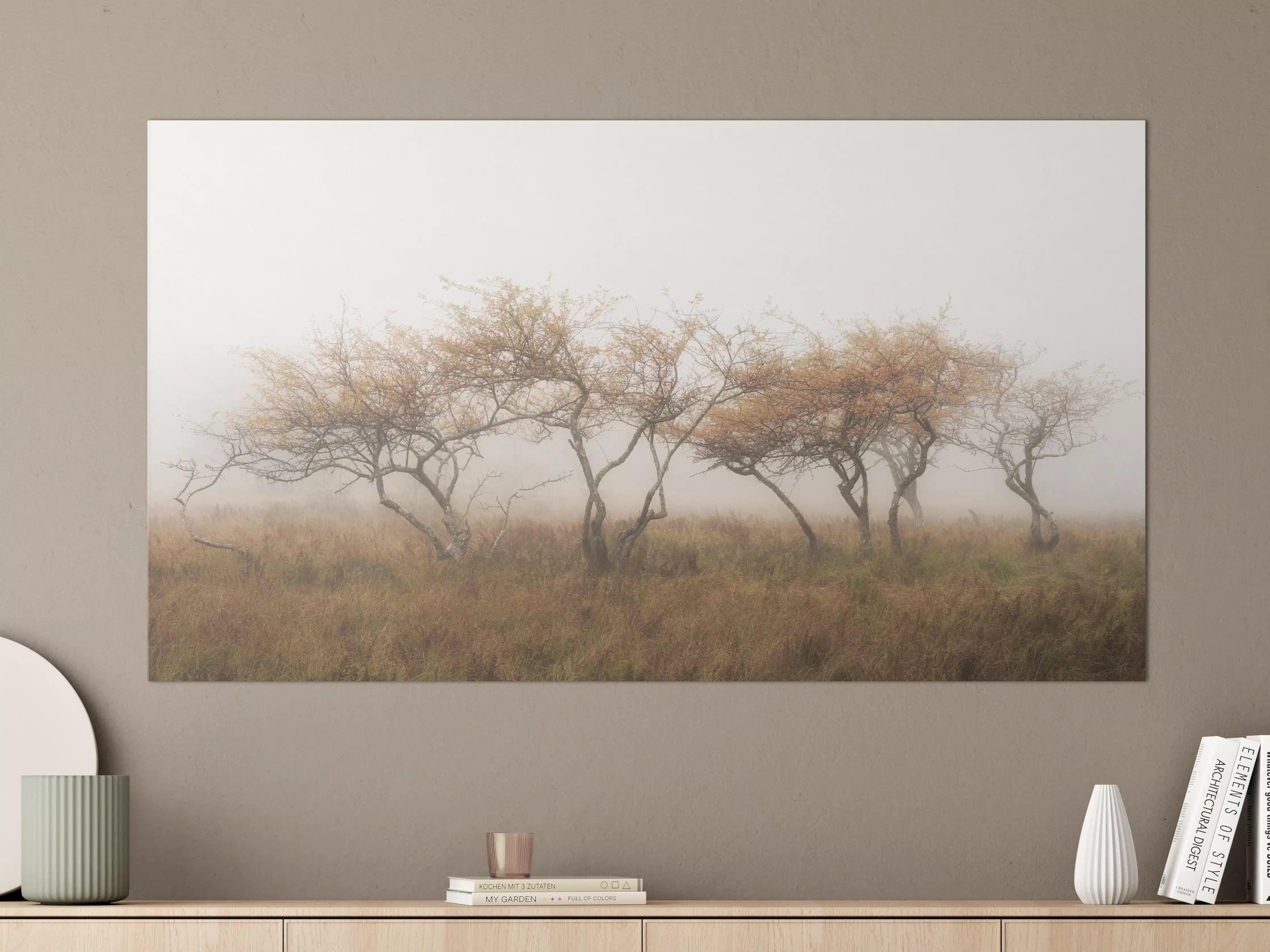 Große Wandbilder - Misty Trees in Autumn