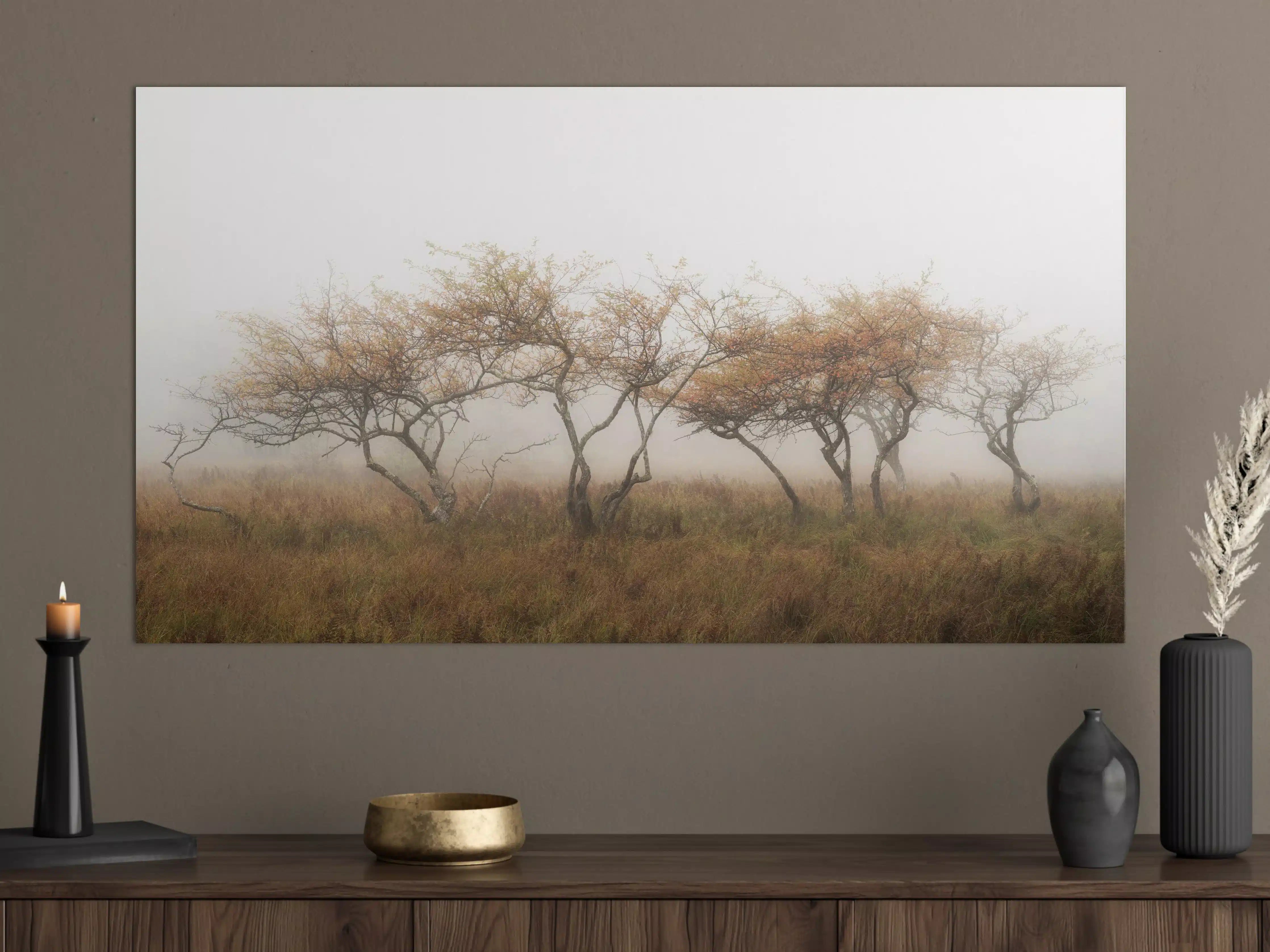 Große Wandbilder - Misty Trees in Autumn