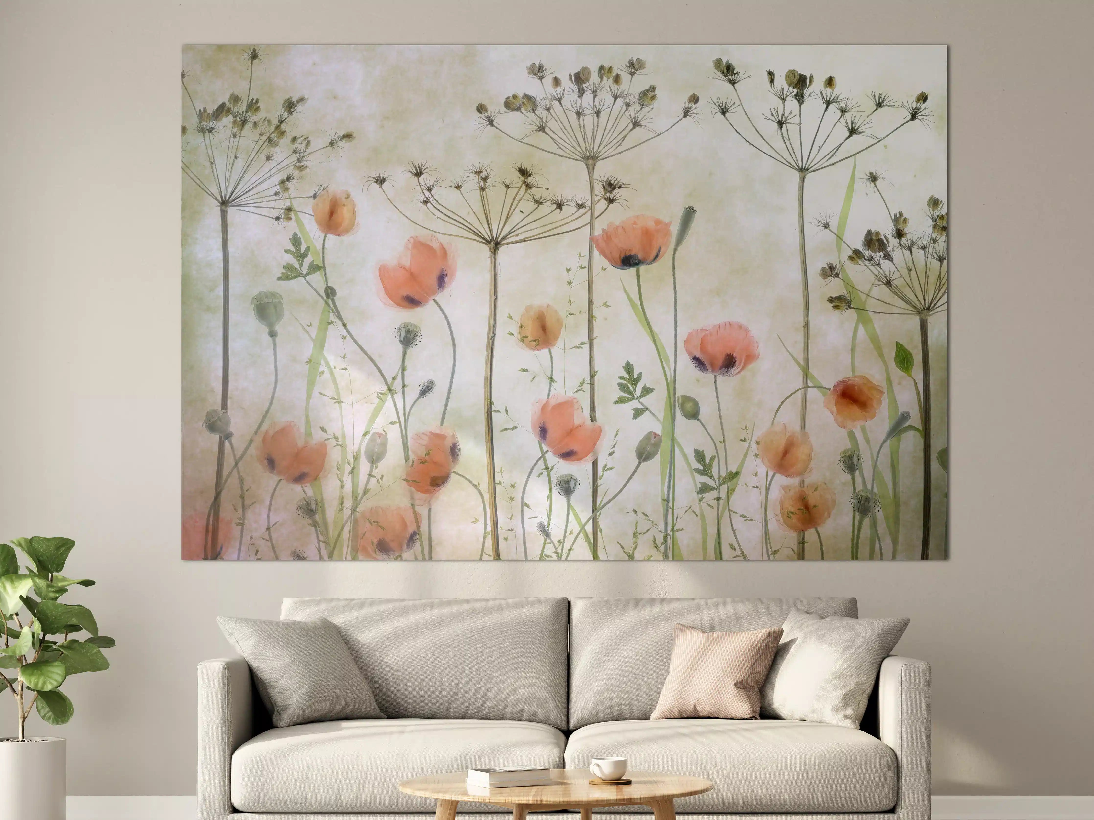 Große Wandbilder - Mohnblumen - Florale Zeichnung