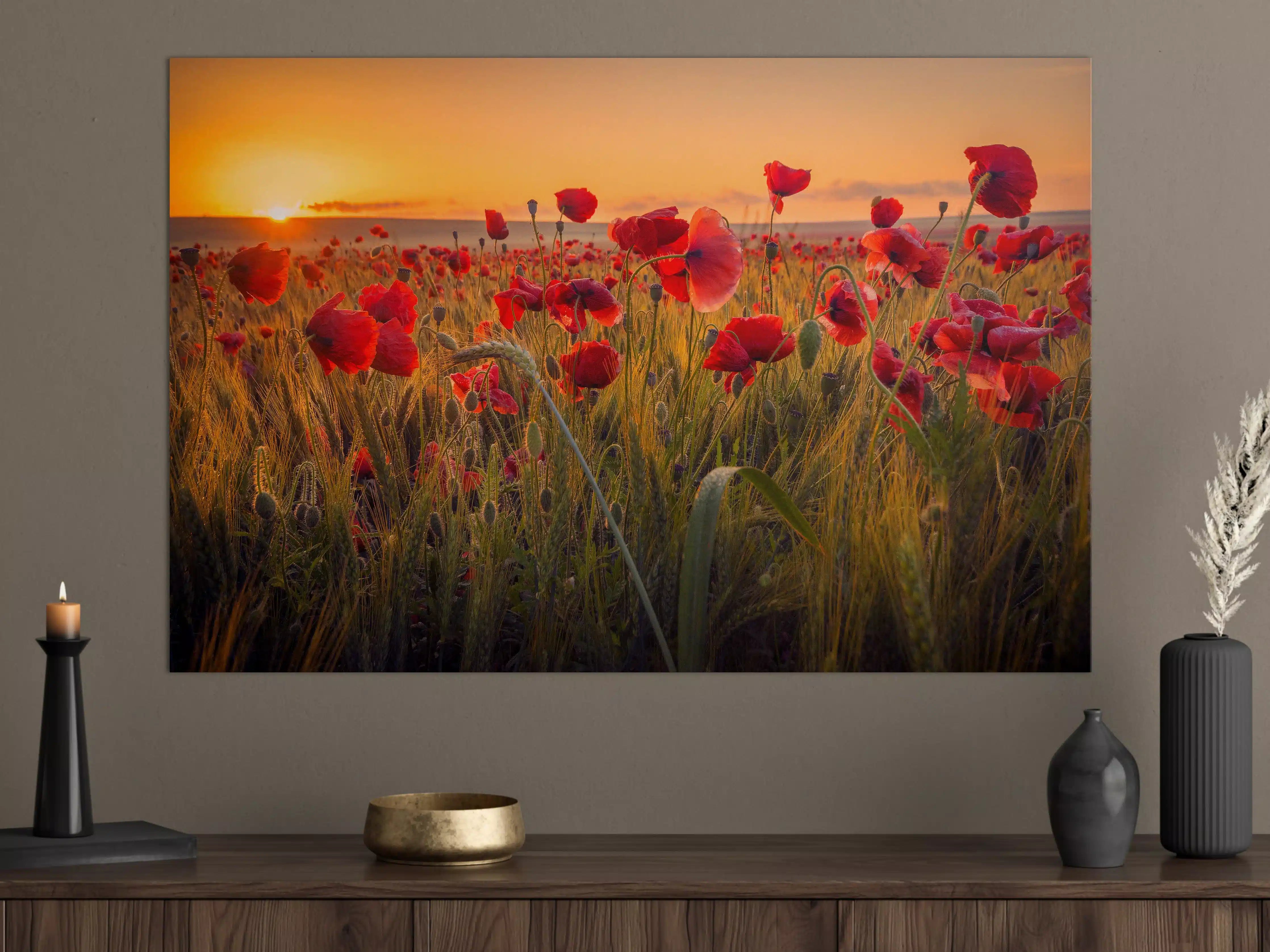 Große Wandbilder - Mohnblumen beim Sonnenuntergang