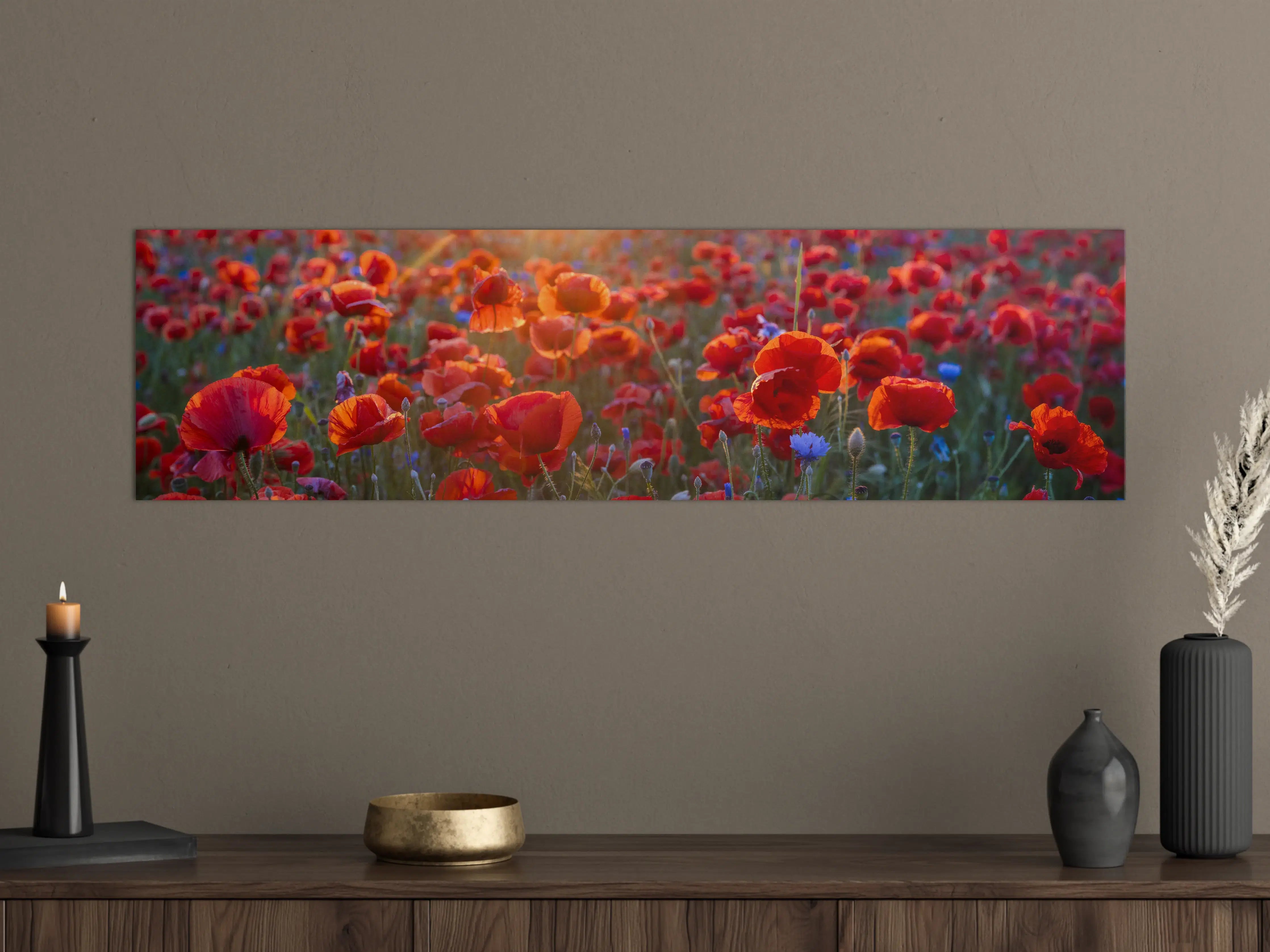 Große Wandbilder - Mohnwiese im Licht der untergehenden Sonne
