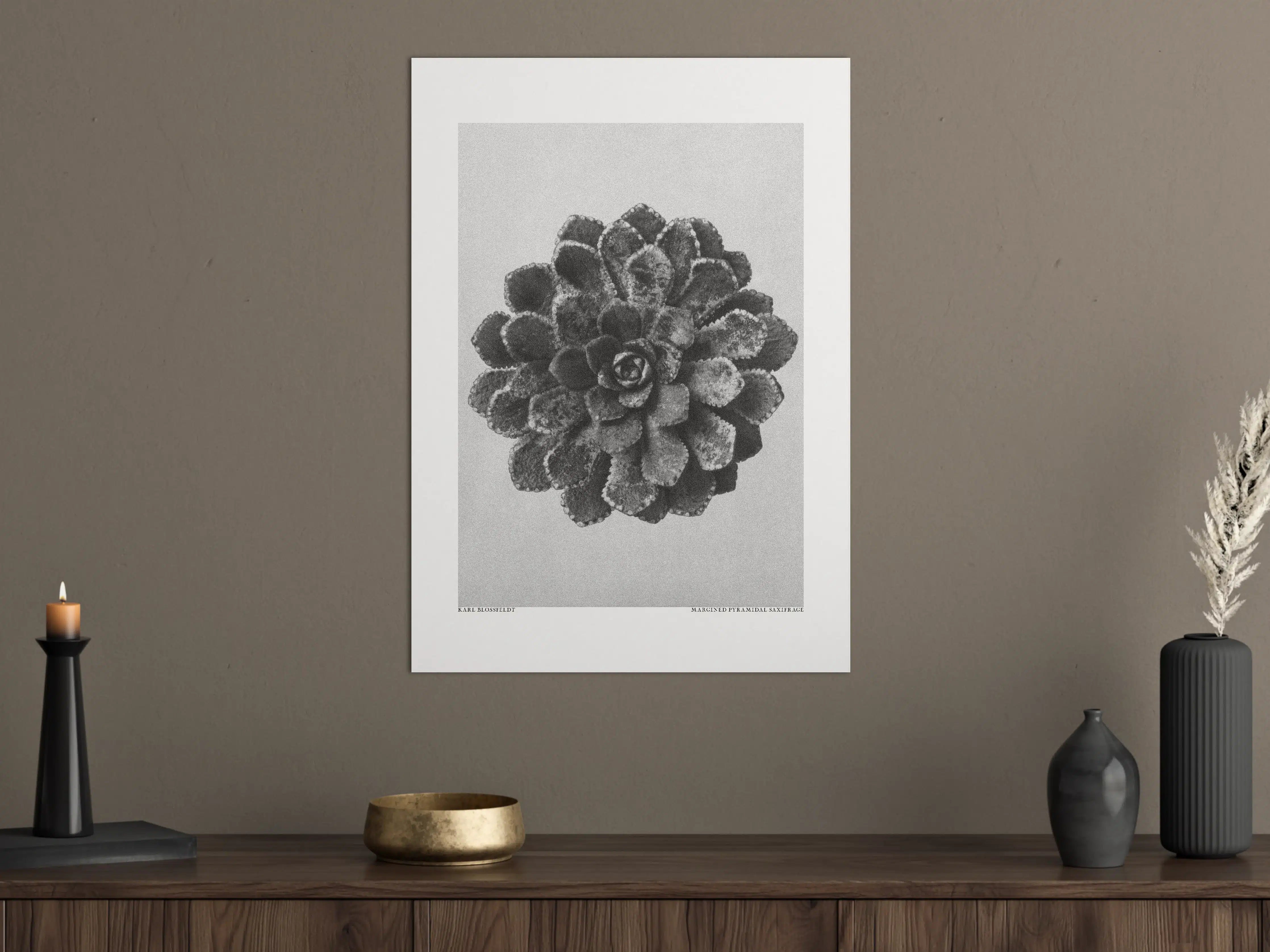 Große Wandbilder - Monochromes Tannenzapfen-Motiv
