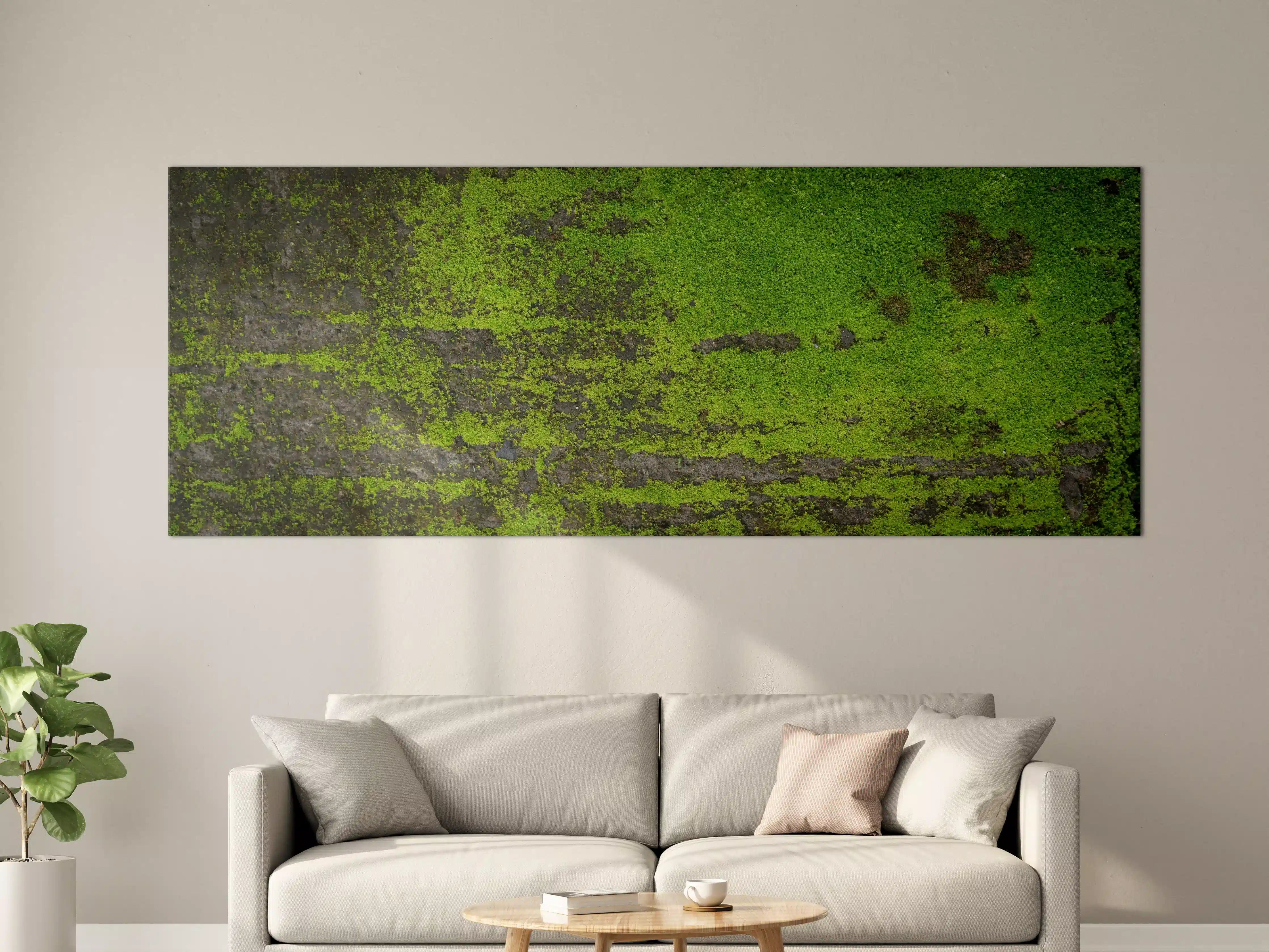 Große Wandbilder - Moosgrün Grunge Textur Banner