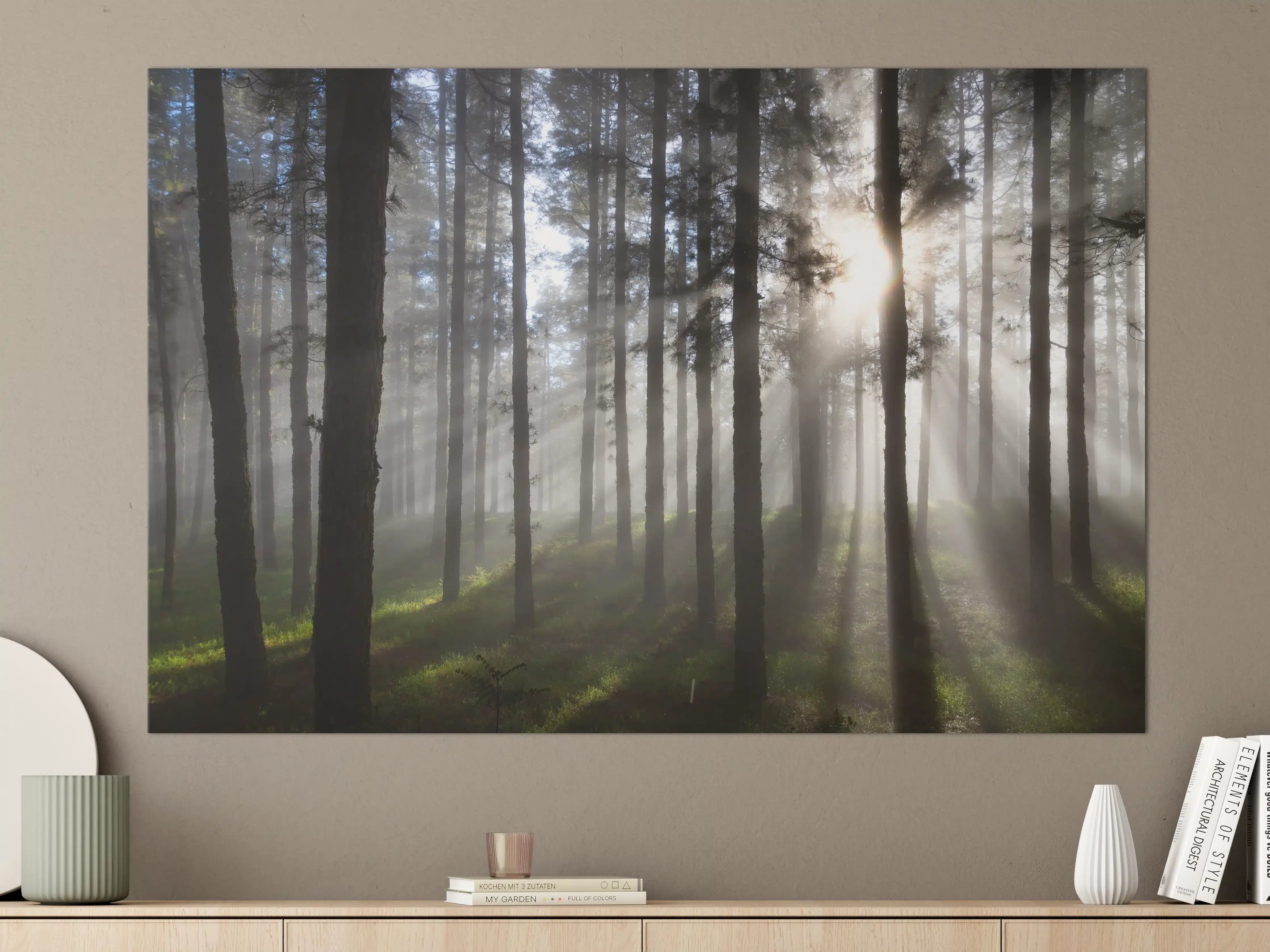 Große Wandbilder - Morgenlicht im Wald