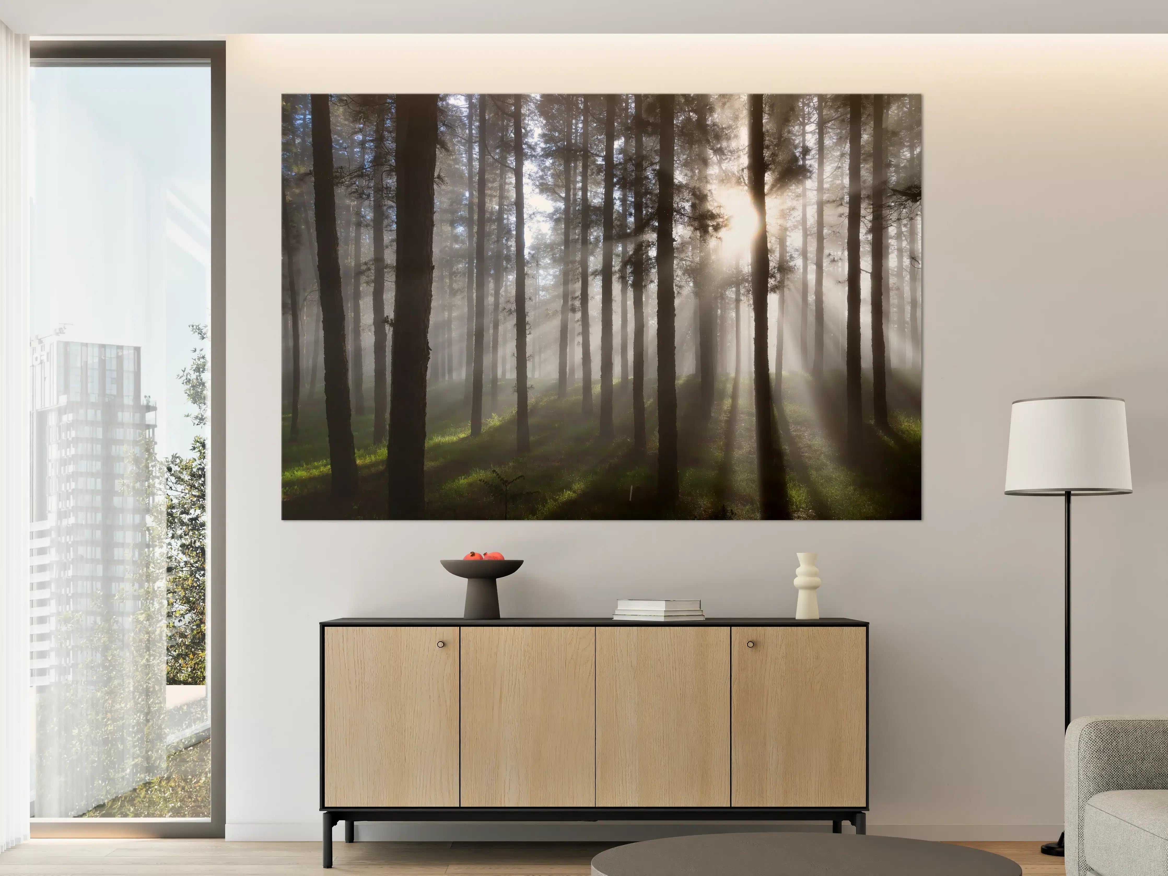 Große Wandbilder - Morgenlicht im Wald