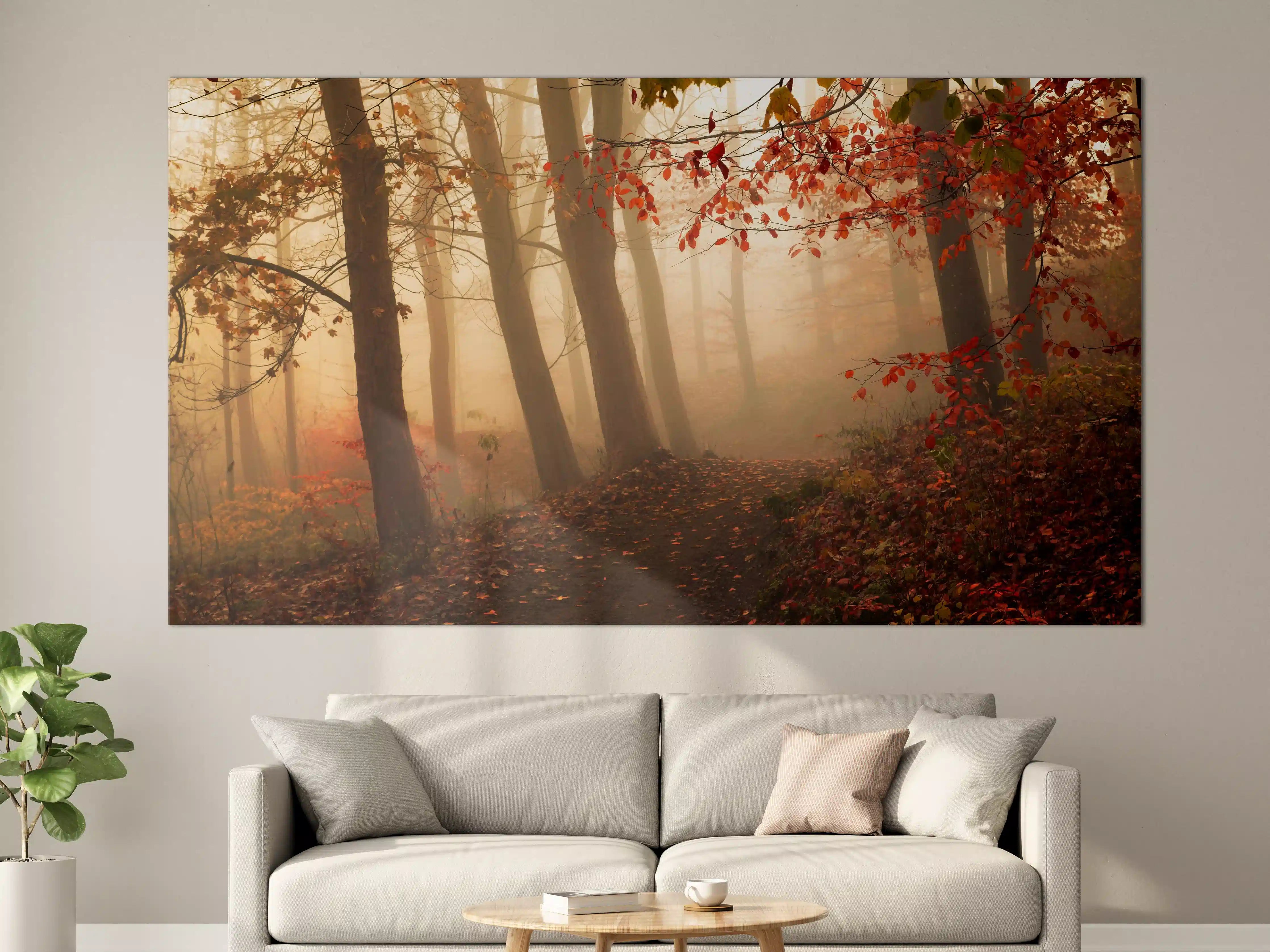 Große Wandbilder - Morgennebel im Herbstwald