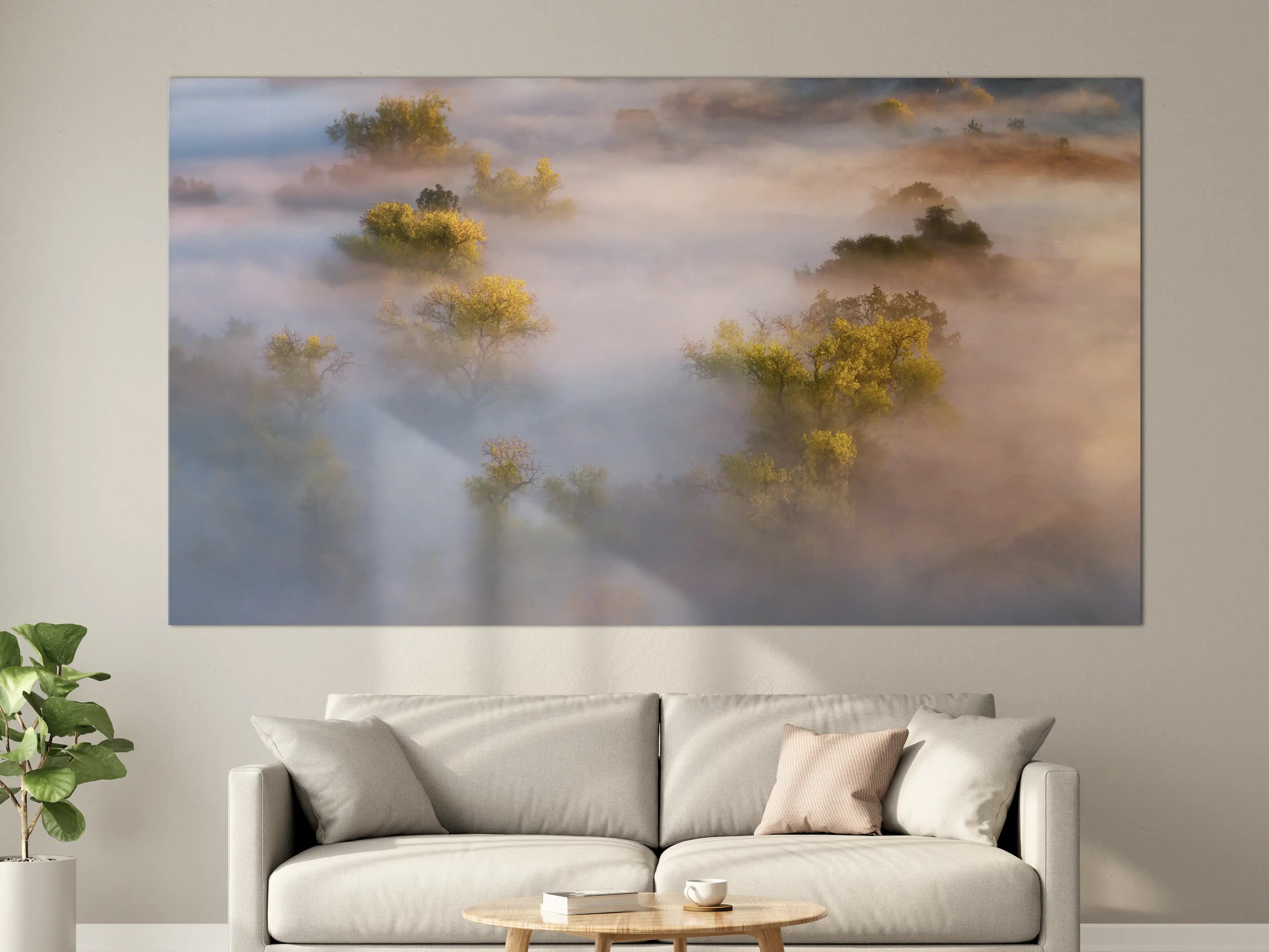 Große Wandbilder - Morgennebel über den Bäumen