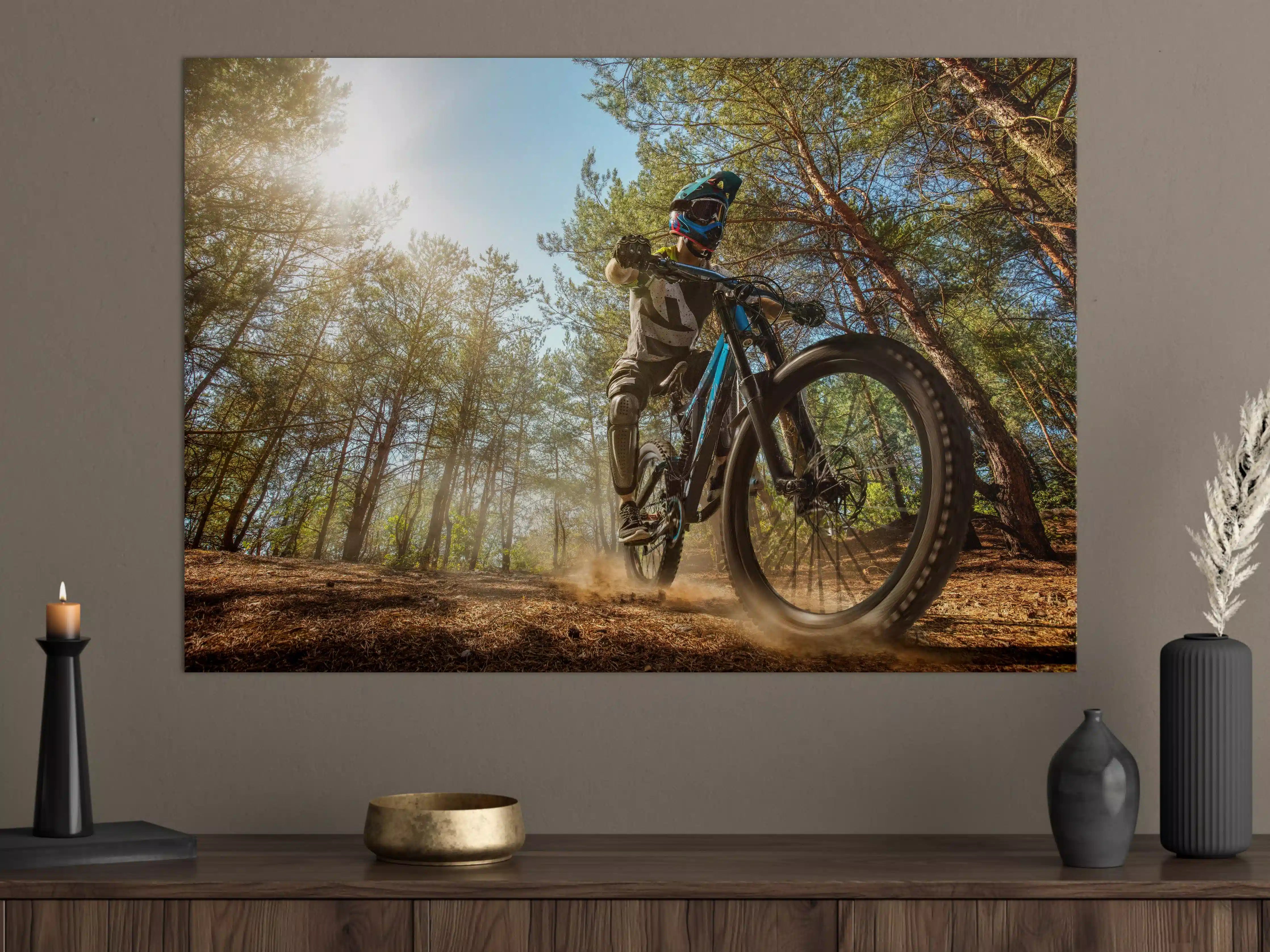 Große Wandbilder - Mountainbiker auf Waldweg