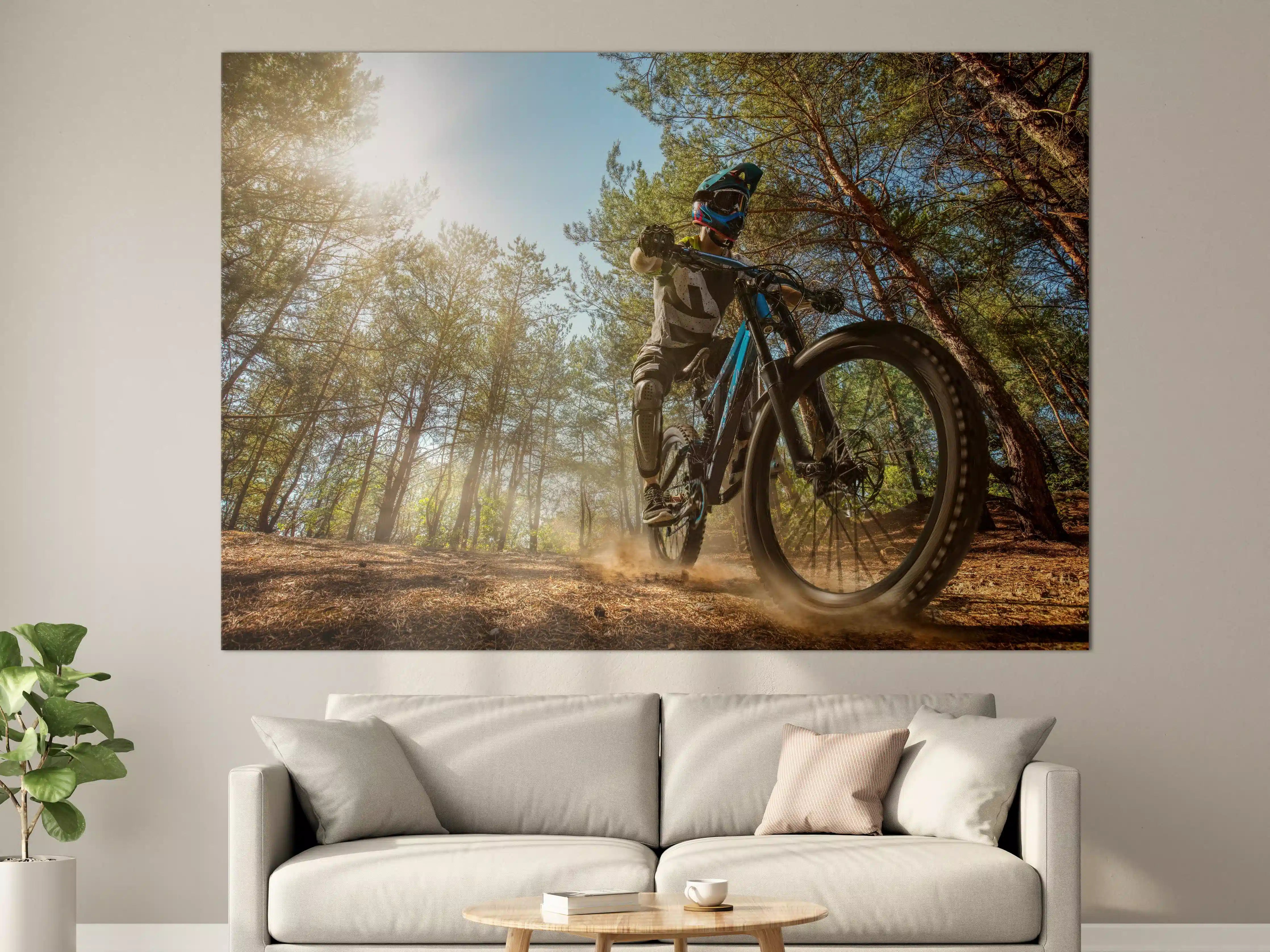 Große Wandbilder - Mountainbiker auf Waldweg