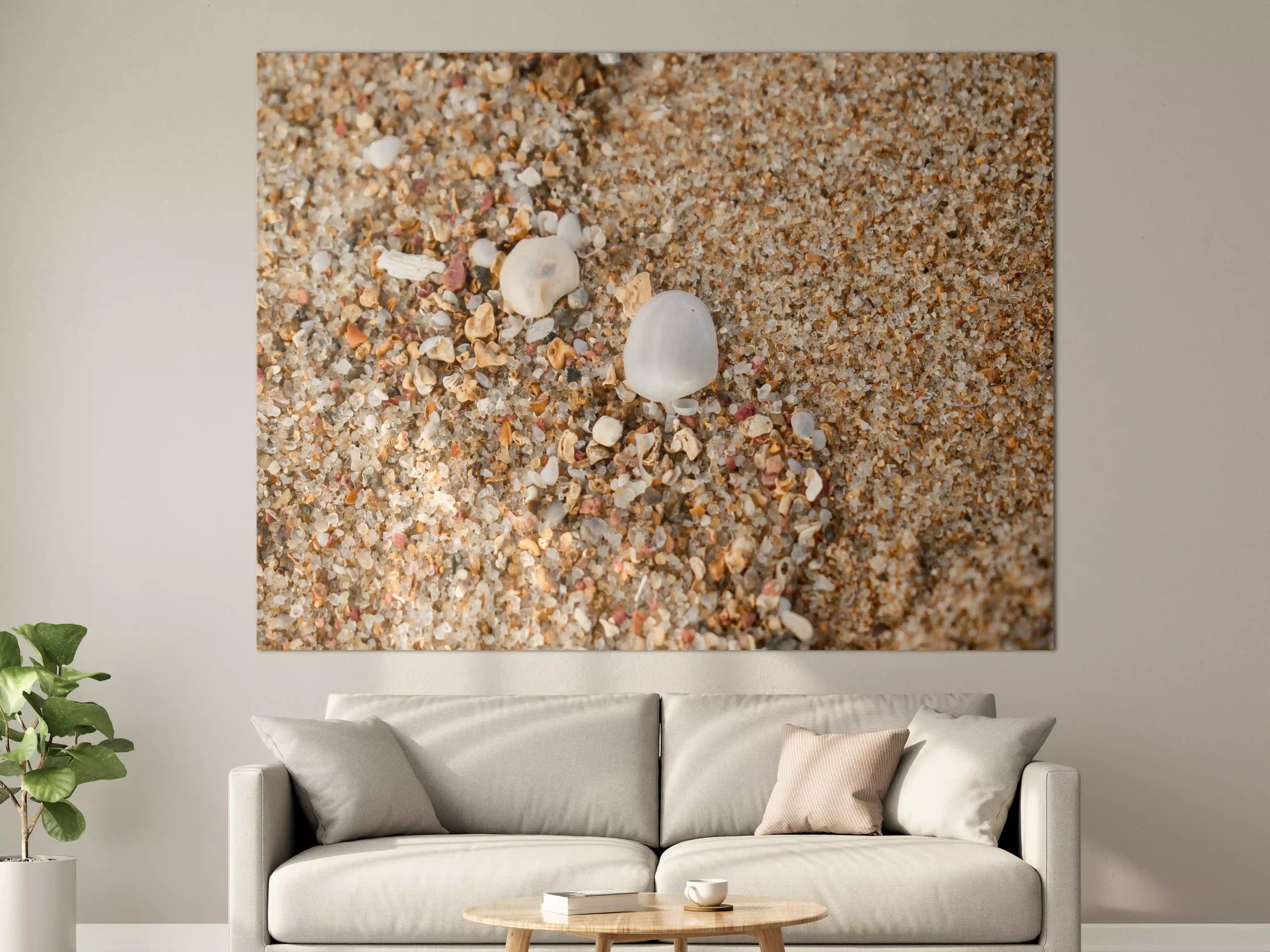 Große Wandbilder - Muscheln im Strandsand. Shell